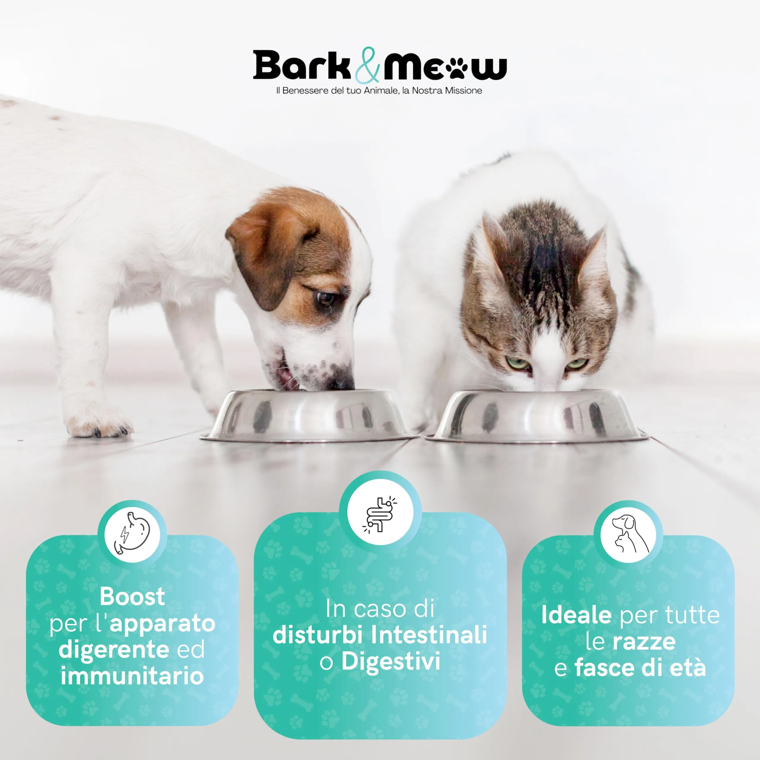 Bark & Meow FlorActive Fermenti Probiotici per cani e gatti, 1,4 miliardi UFC, con Prebiotici FOS e MOS, 30 Compresse - immagine 4