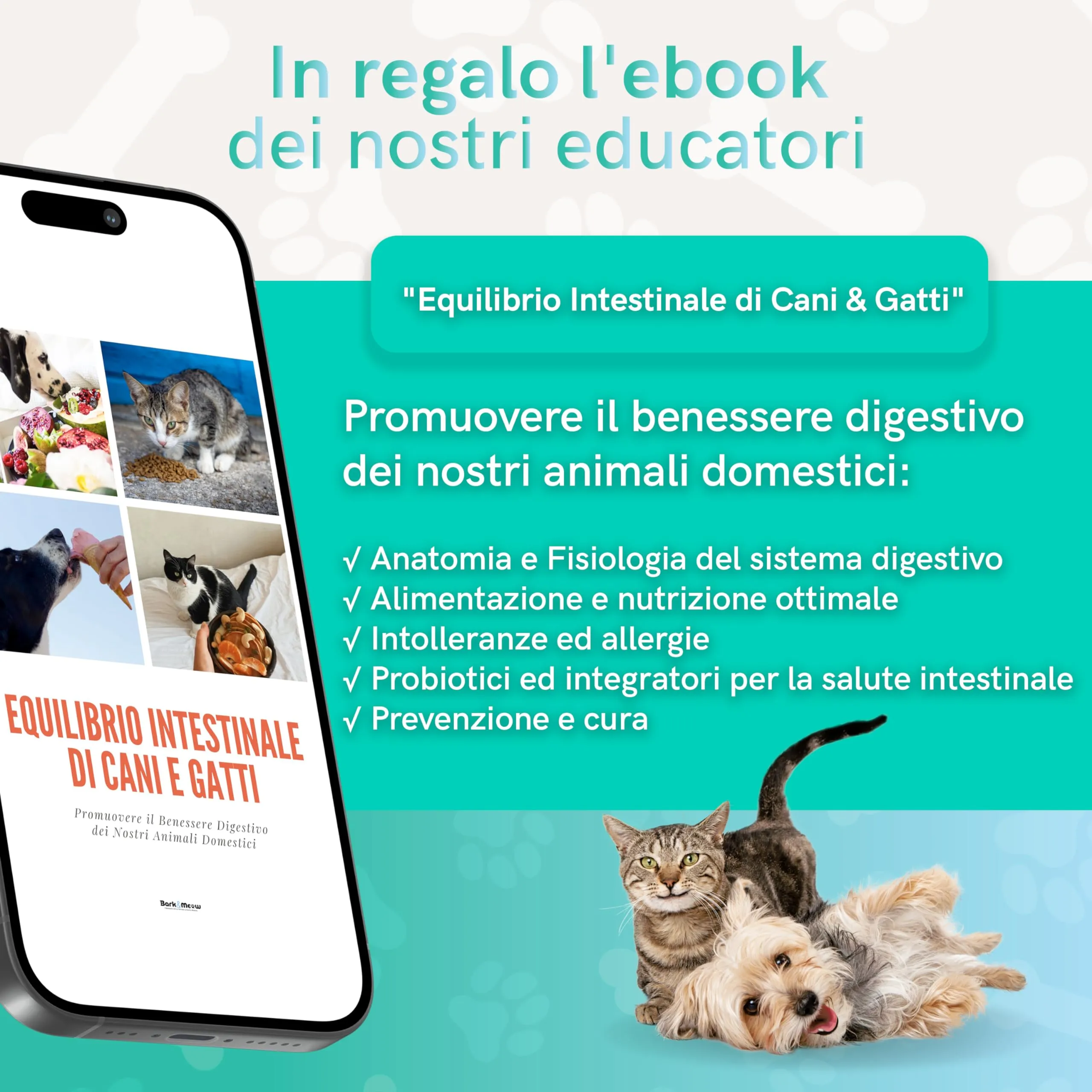 Bark & Meow FlorActive Fermenti Probiotici per cani e gatti, 1,4 miliardi UFC, con Prebiotici FOS e MOS, 30 Compresse - immagine 7