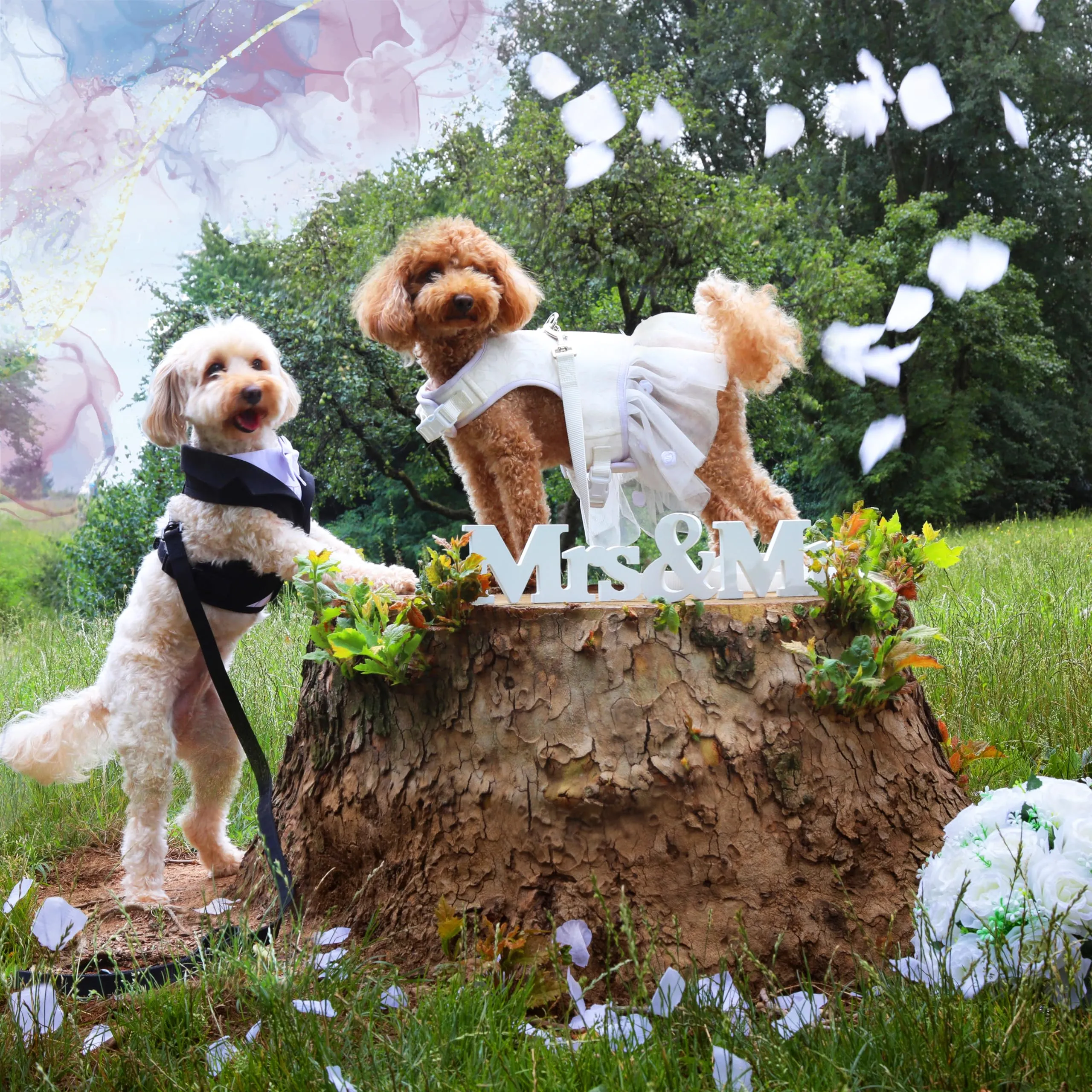 Croci Ceremony Smoking Collare per cani a bandana con camicia e papillon, S (28-44 cm) - immagine 5