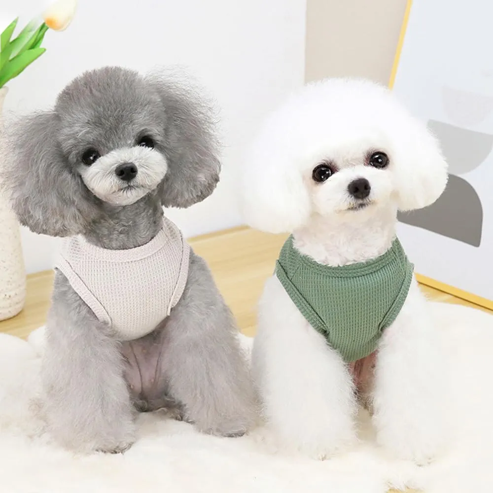 FFWTPY Maglietta Cane in Tessuto Waffle con Orsetto Decorativo, Canotta Traspirante per Cuccioli - immagine 3