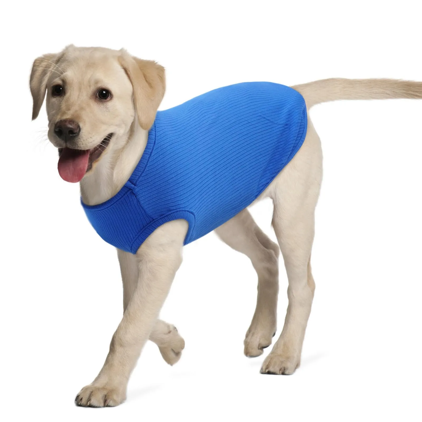 Hjumarayan Maglietta Estiva per Cani, Blu zaffiro, XL - immagine 1