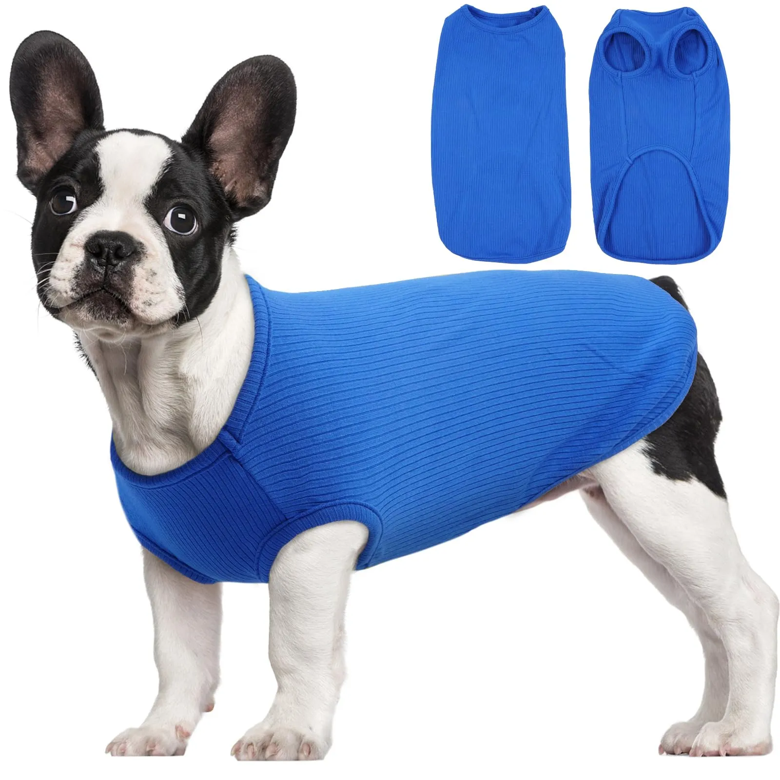 Hjumarayan Maglietta Estiva per Cani, Taglia S, Blu Zaffiro - immagine 1