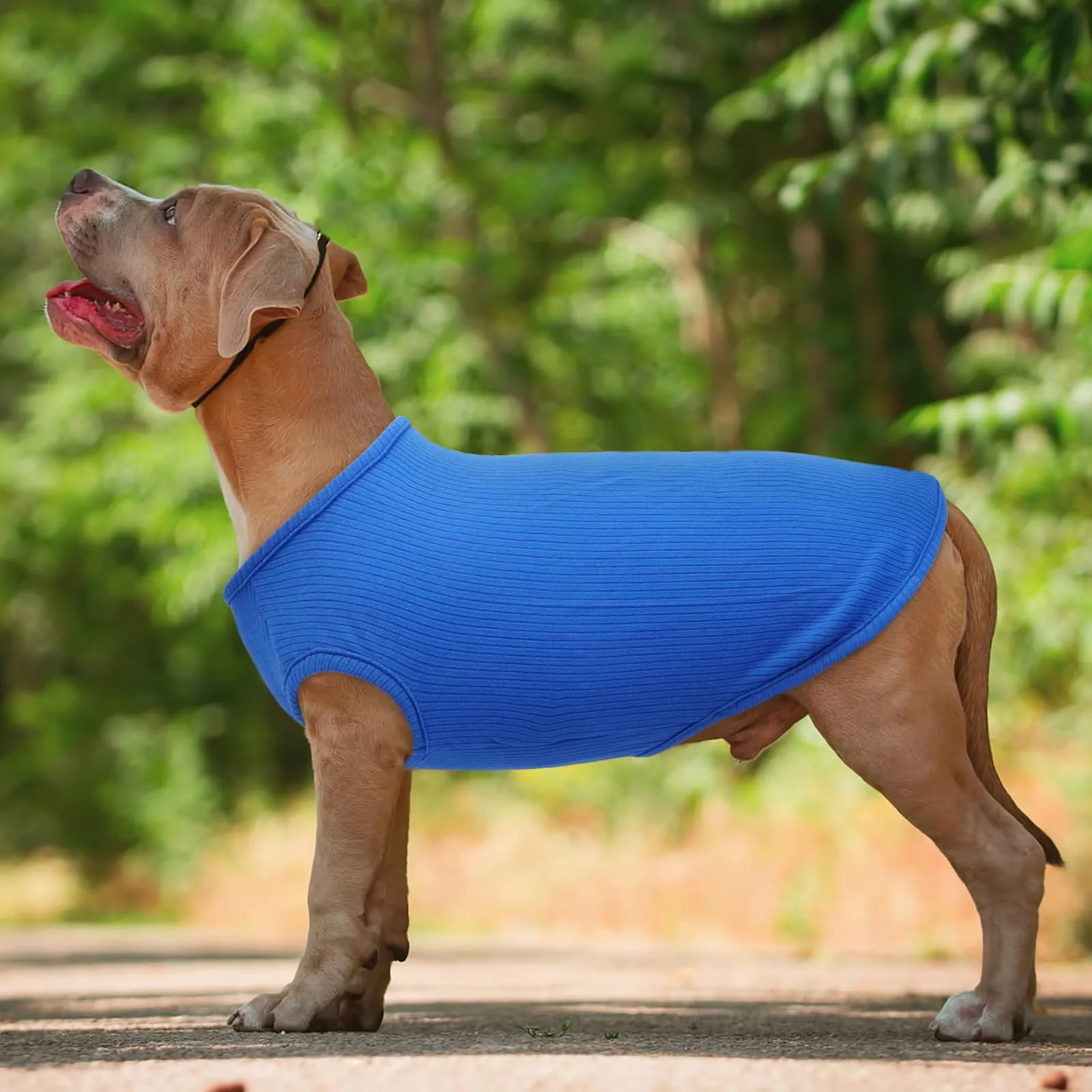 Hjumarayan Maglietta Estiva per Cani a Righe, Blu zaffiro, XS - immagine 2