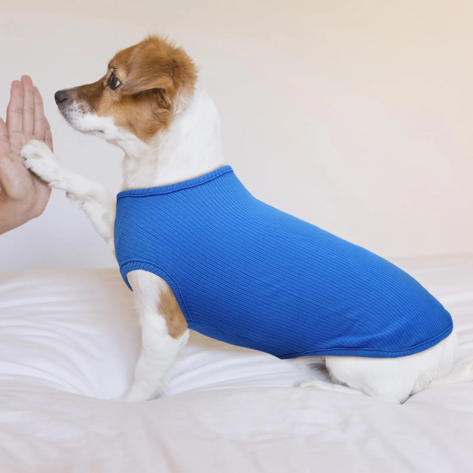 Hjumarayan Maglietta Estiva per Cani, Blu Zaffiro, XXS - immagine 6