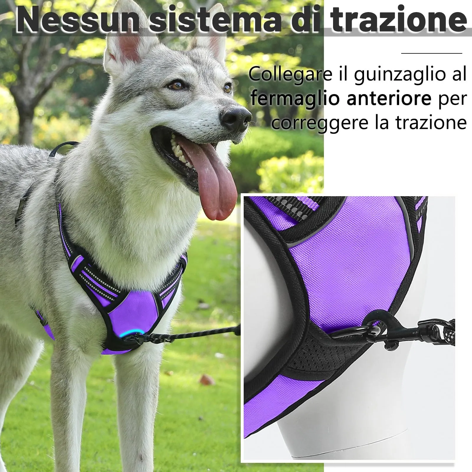 COMSLE Pettorina per Cani Anti Tiro Riflettente, Imbracatura Regolabile con 2 Ganci in Metallo, Viola, L - immagine 5