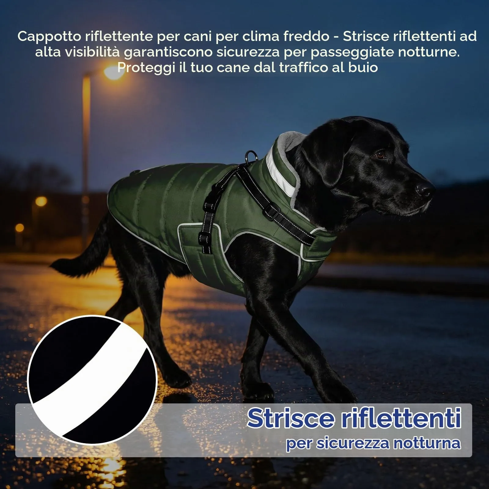 ASENKU Cappotto per Cane Impermeabile e Antivento, Taglia L, Verde - immagine 3