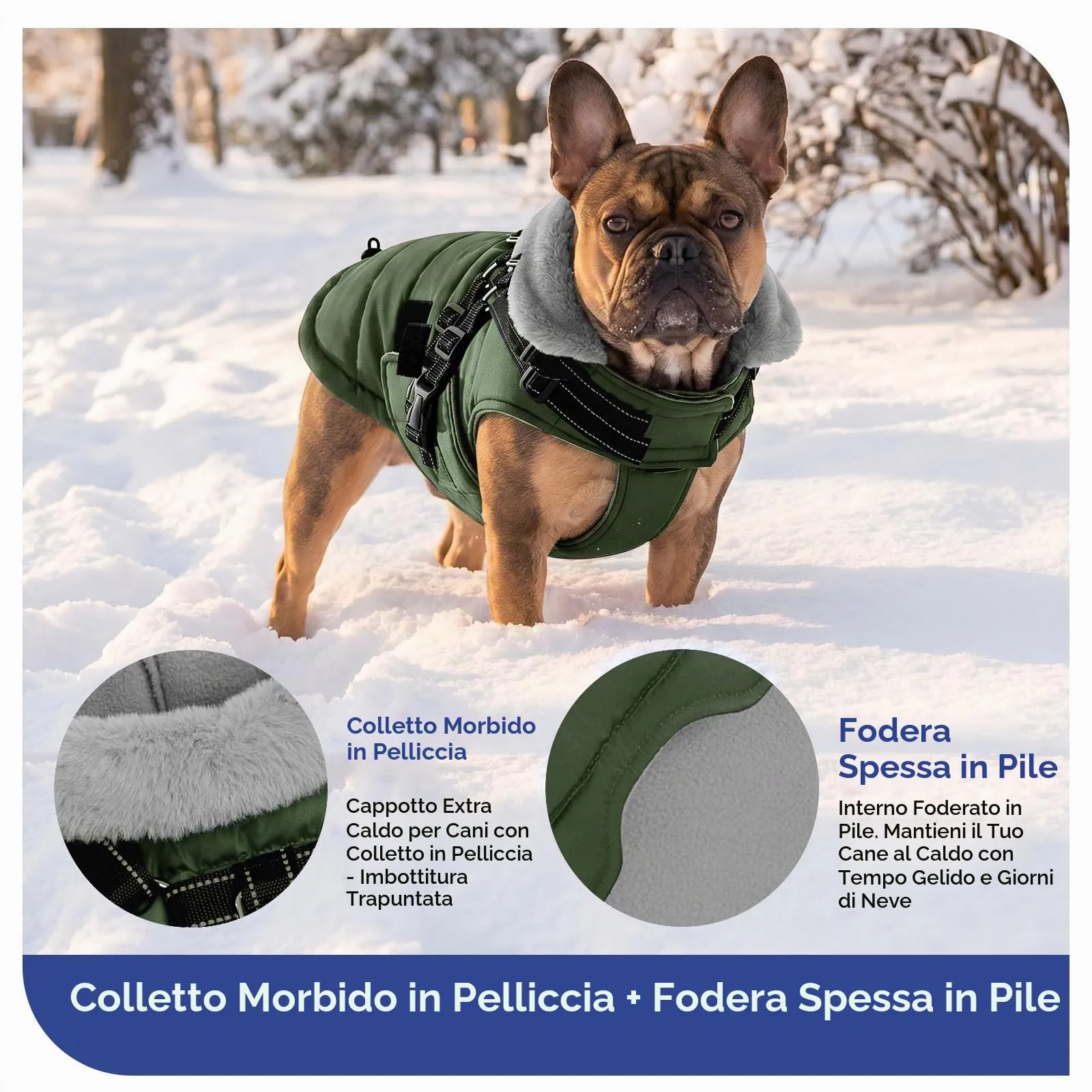 ASENKU Cappotto per Cane Impermeabile e Antivento, Taglia L, Verde - immagine 5