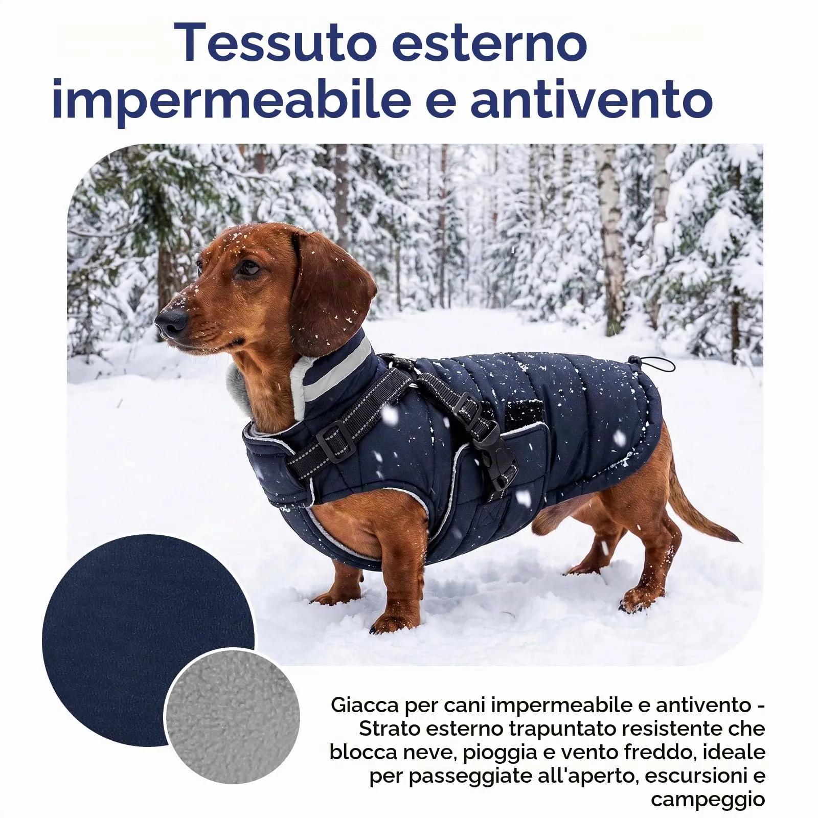 ASENKU Cappottino Cane Invernale, Impermeabile e Antivento, Taglia S, Blu - immagine 2