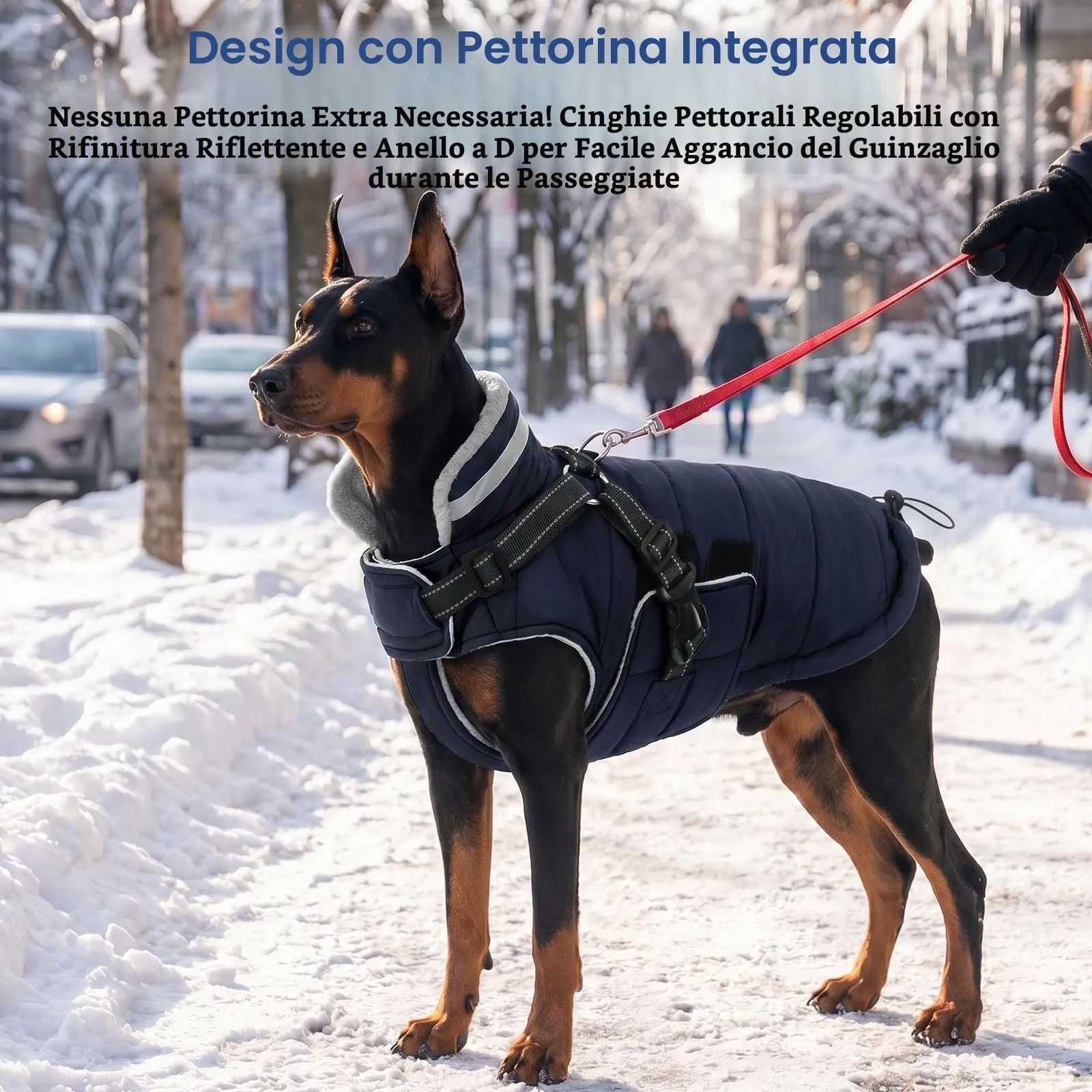 ASENKU Cappottino Cane Invernale, Impermeabile e Antivento, Taglia S, Blu - immagine 4