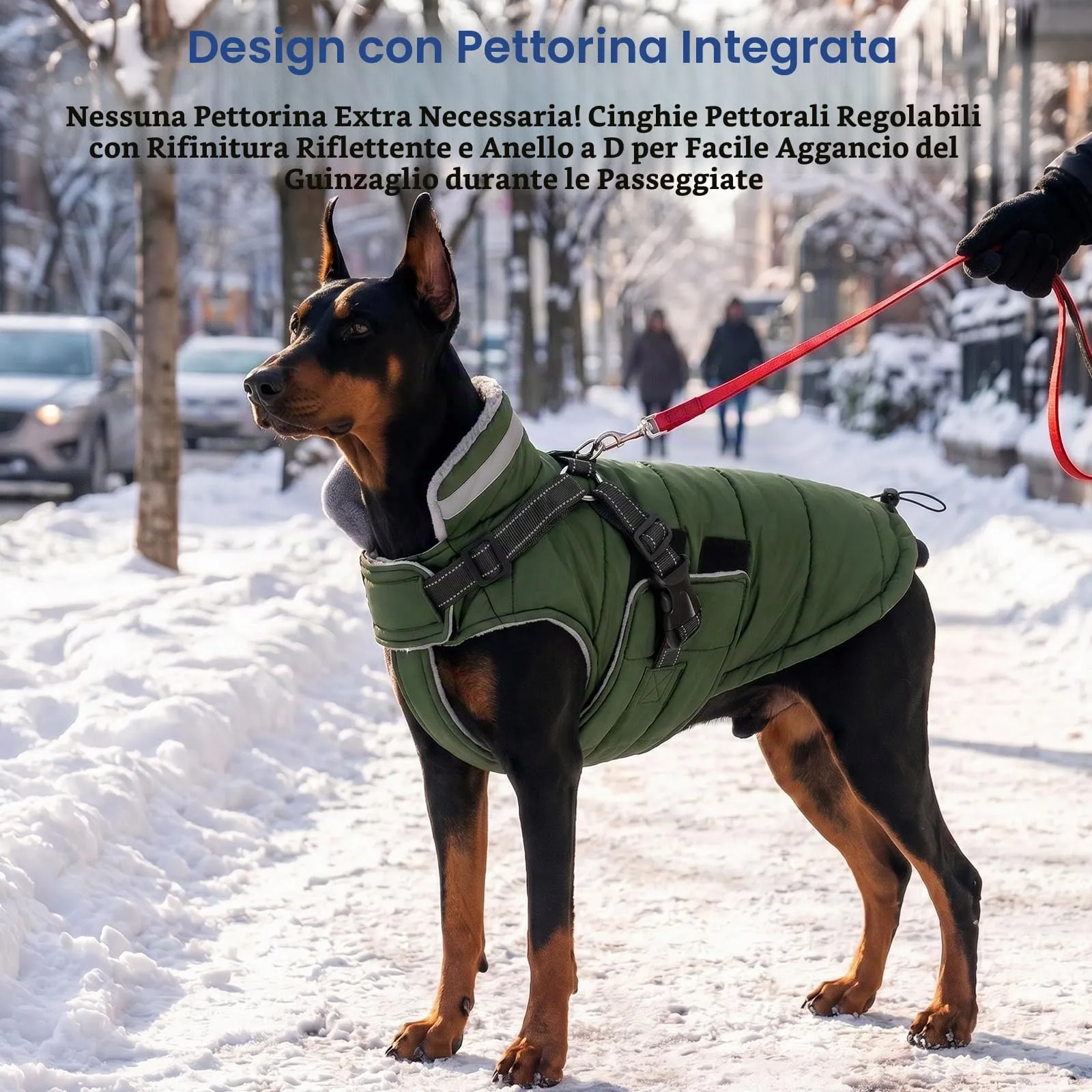 ASENKU Cappottino Cane Invernale Impermeabile e Antivento, Taglia S, Verde - immagine 4