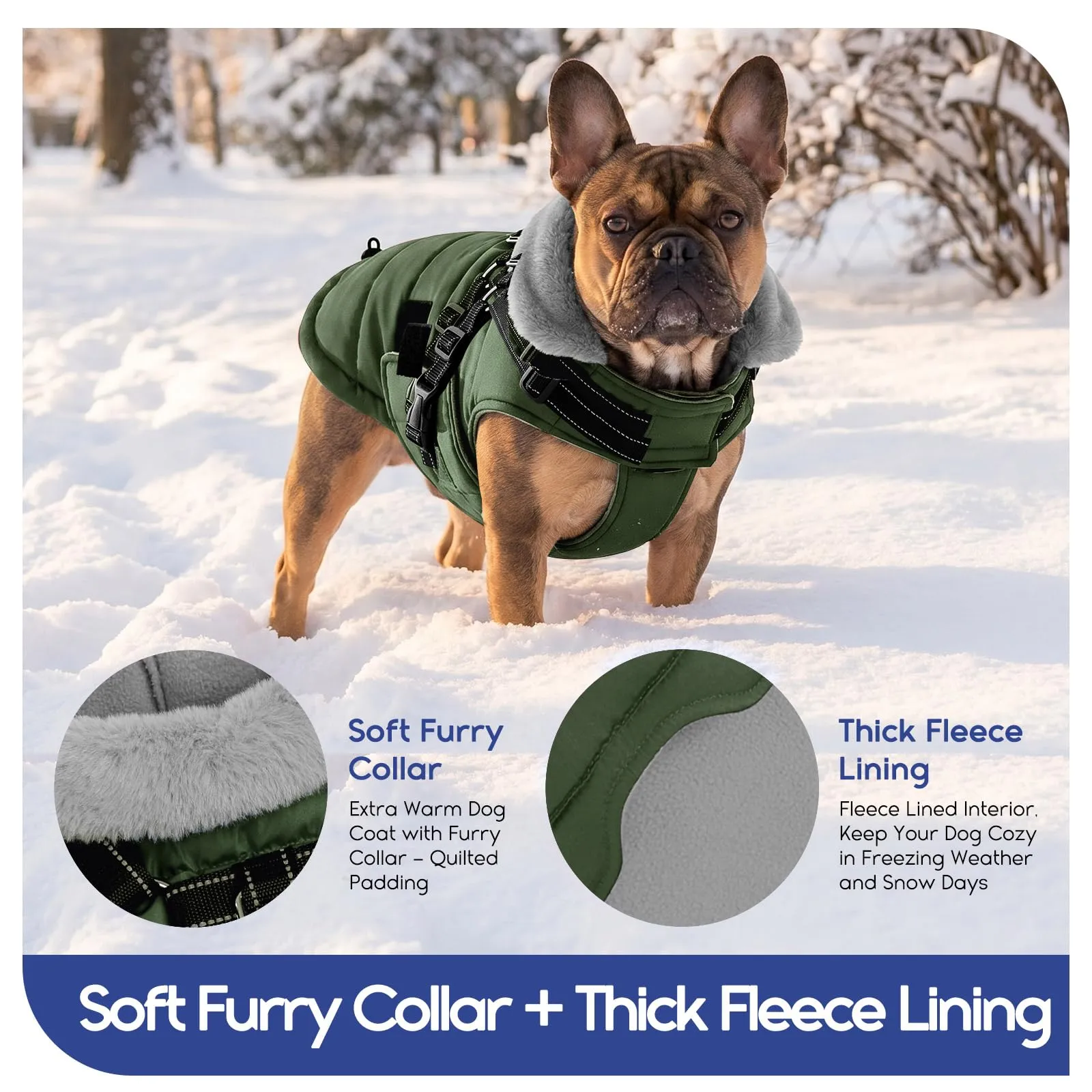 ASENKU Cappottino Impermeabile per Cane, Taglia 2XL, Verde - immagine 5
