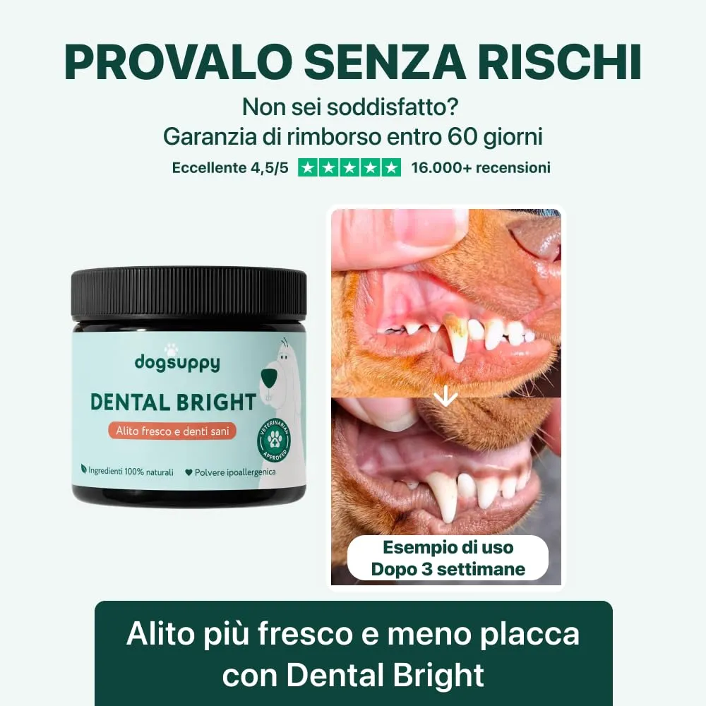 DogSuppy Dental Bright Polvere Dentale per Cani, Alito Fresco, Rimuovi Placca e Tartaro - immagine 4