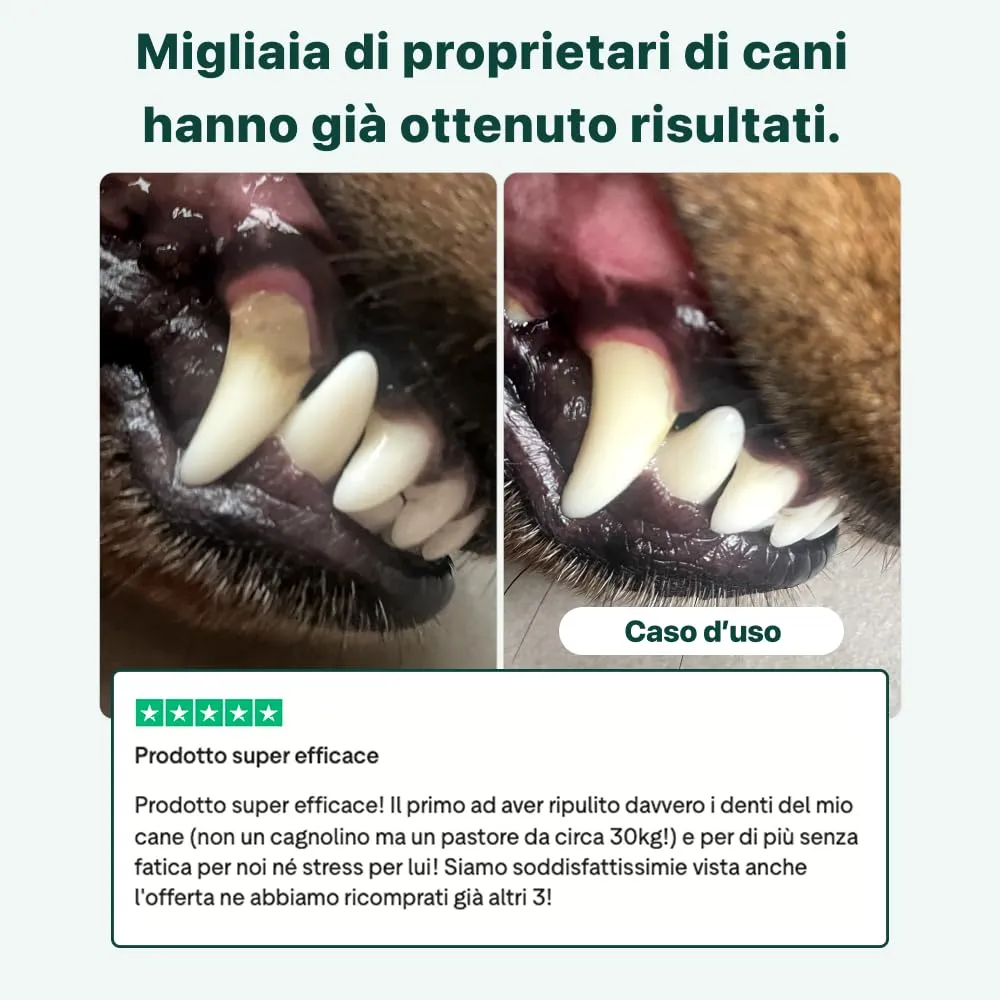 DogSuppy Dental Bright Polvere Dentale per Cani, Alito Fresco, Rimuovi Placca e Tartaro - immagine 7
