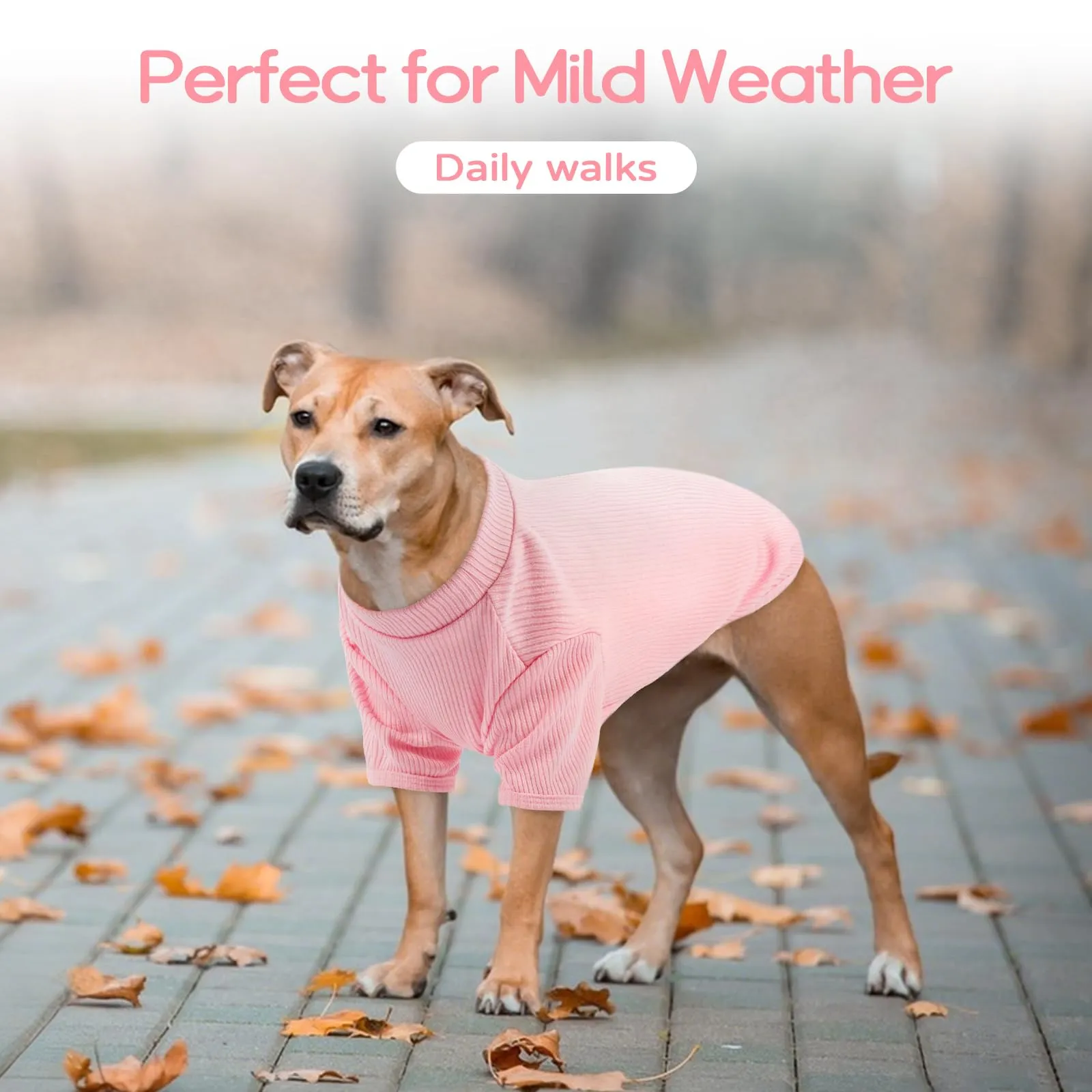 Hjumarayan Maglione Leggero in Maglia Traspirante per Cani, Rosa Fiorita, XXXL - immagine 5