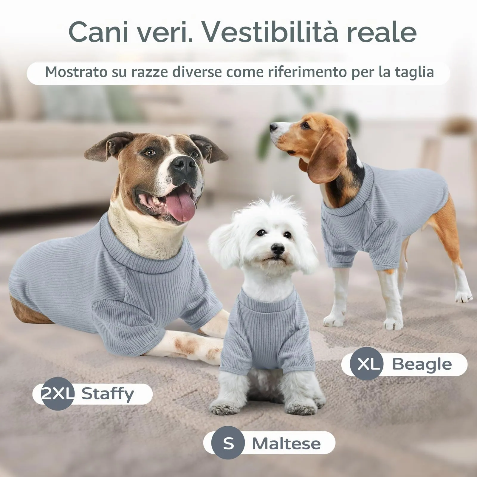 Hjumarayan Maglione Estivo per Cani in Maglia Sottile, T-Shirt Traspirante a Maniche Corte, Blu Skyline, M - immagine 7
