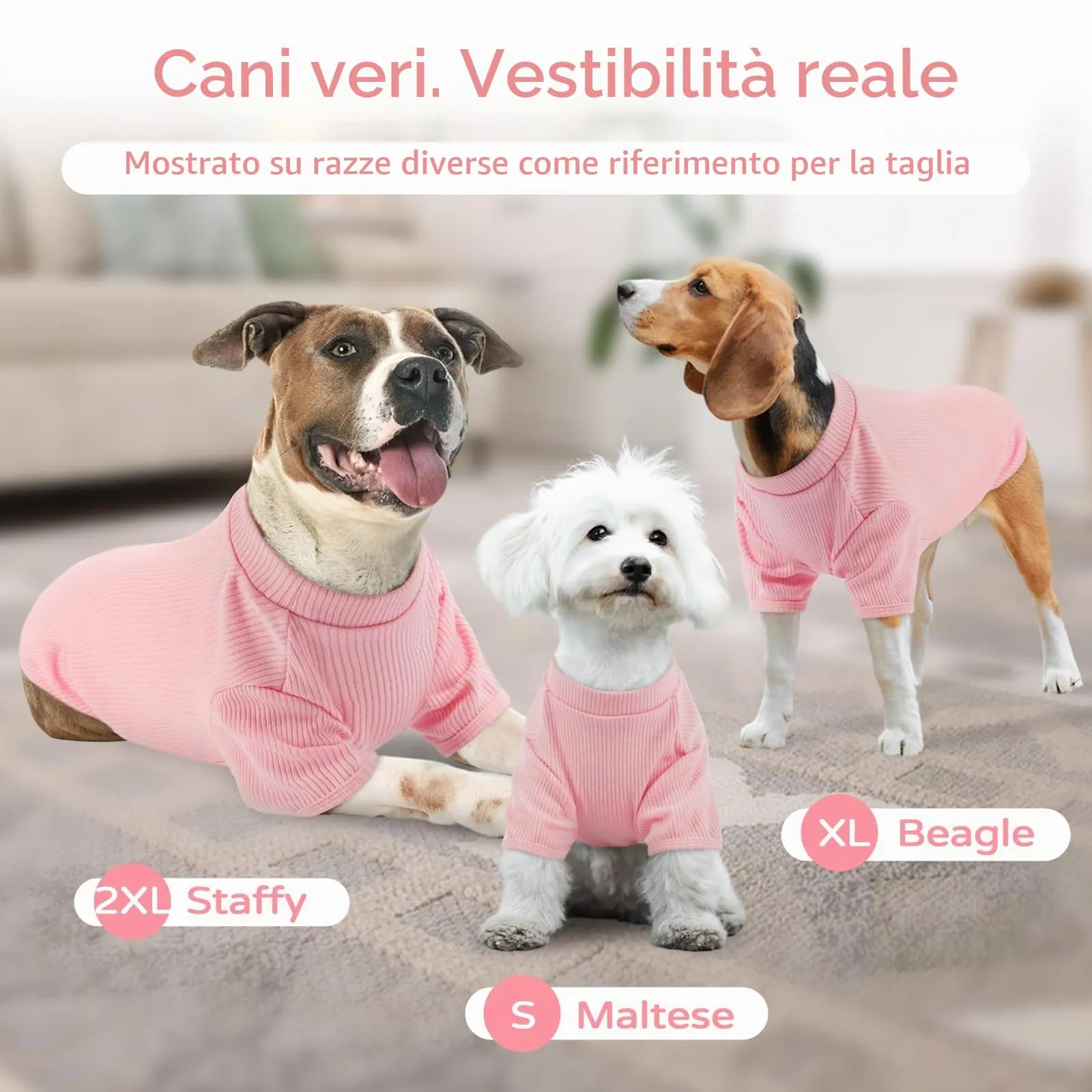 Hjumarayan T-Shirt per Cani in Maglia Elasticizzata a Costine, Rosa Fiorita, XS - immagine 7
