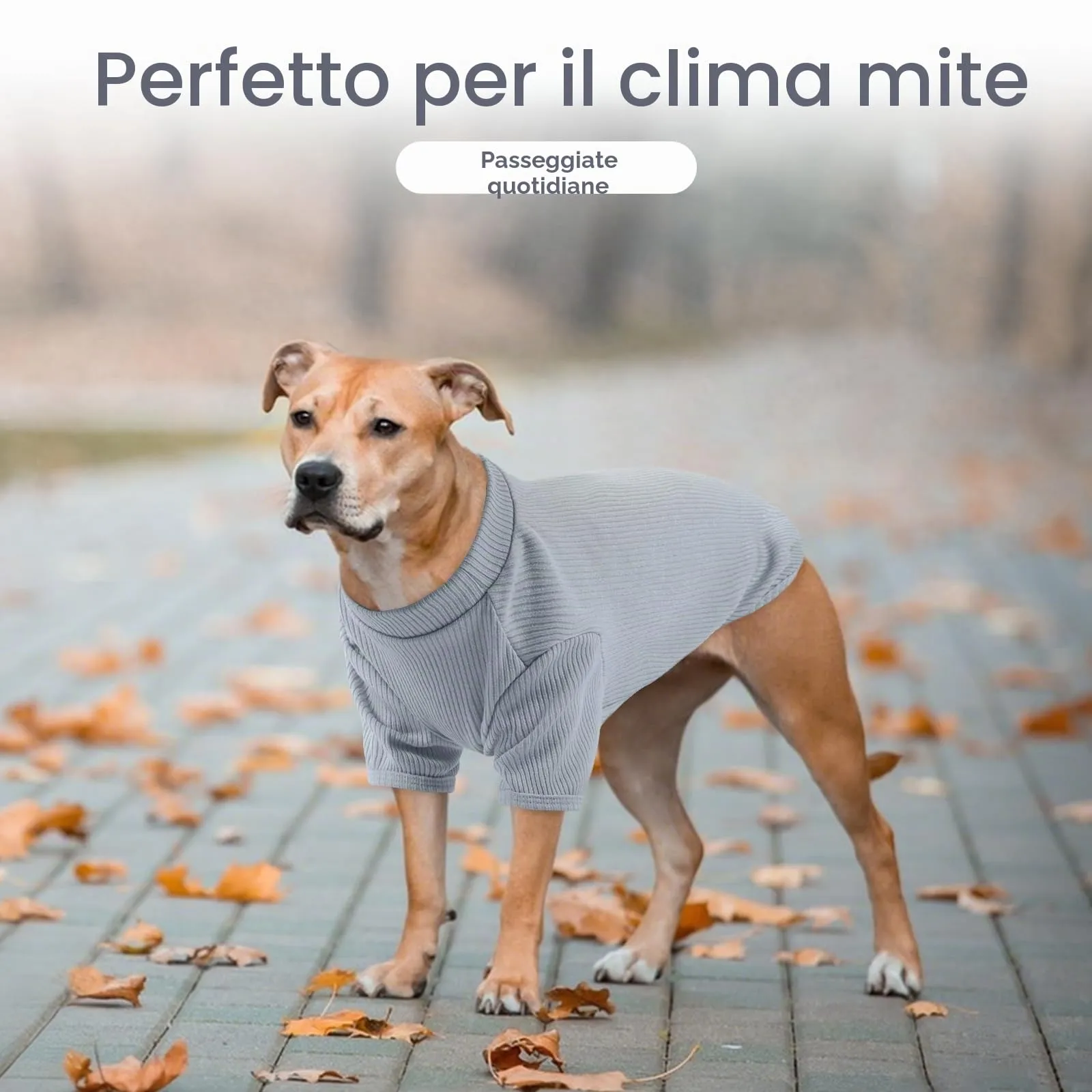 Hjumarayan T-Shirt in Maglia Elasticizzata per Cani, Blu Skyline, XS - immagine 5