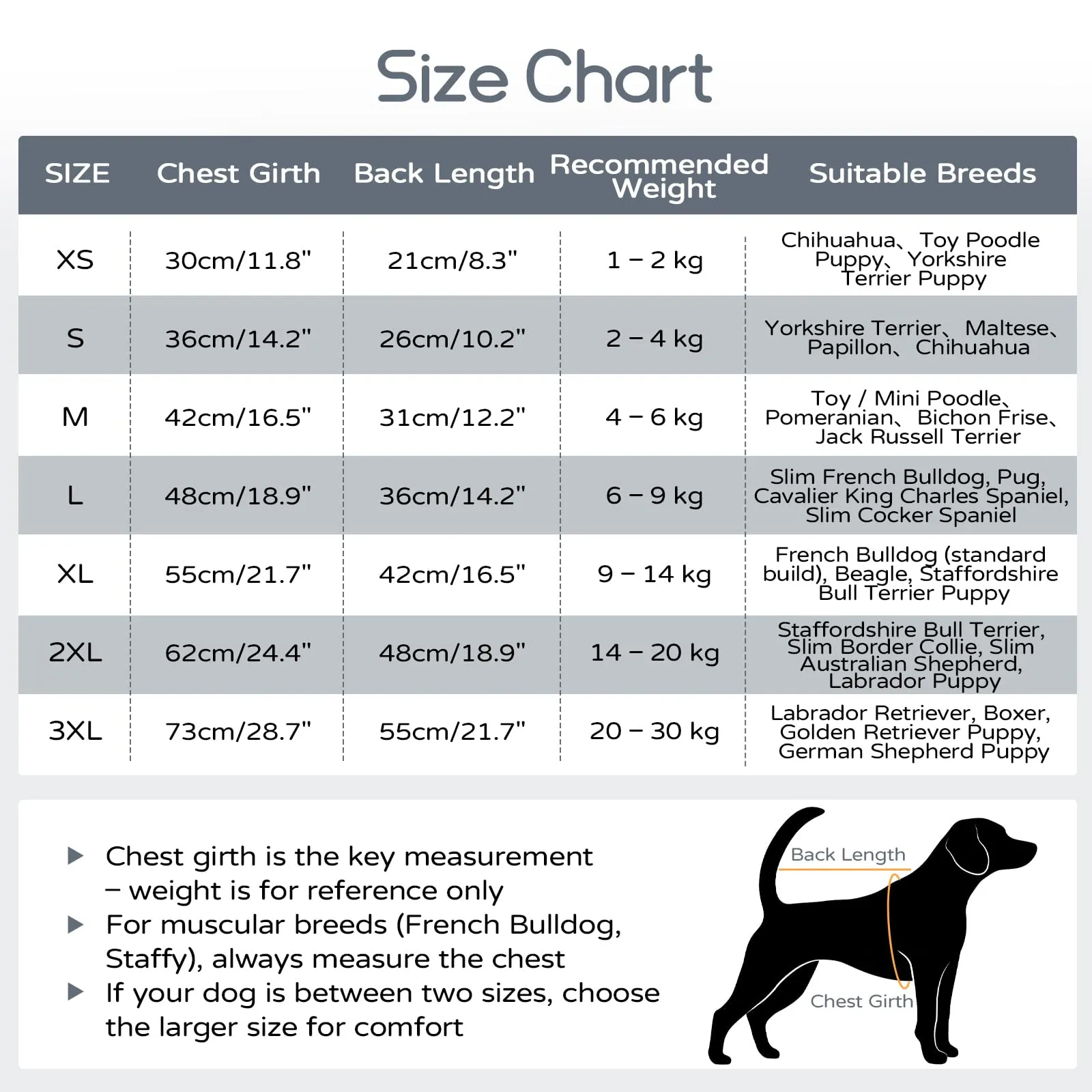 Hjumarayan T-Shirt in Maglia Elasticizzata per Cani, Blu Skyline, XS - immagine 8