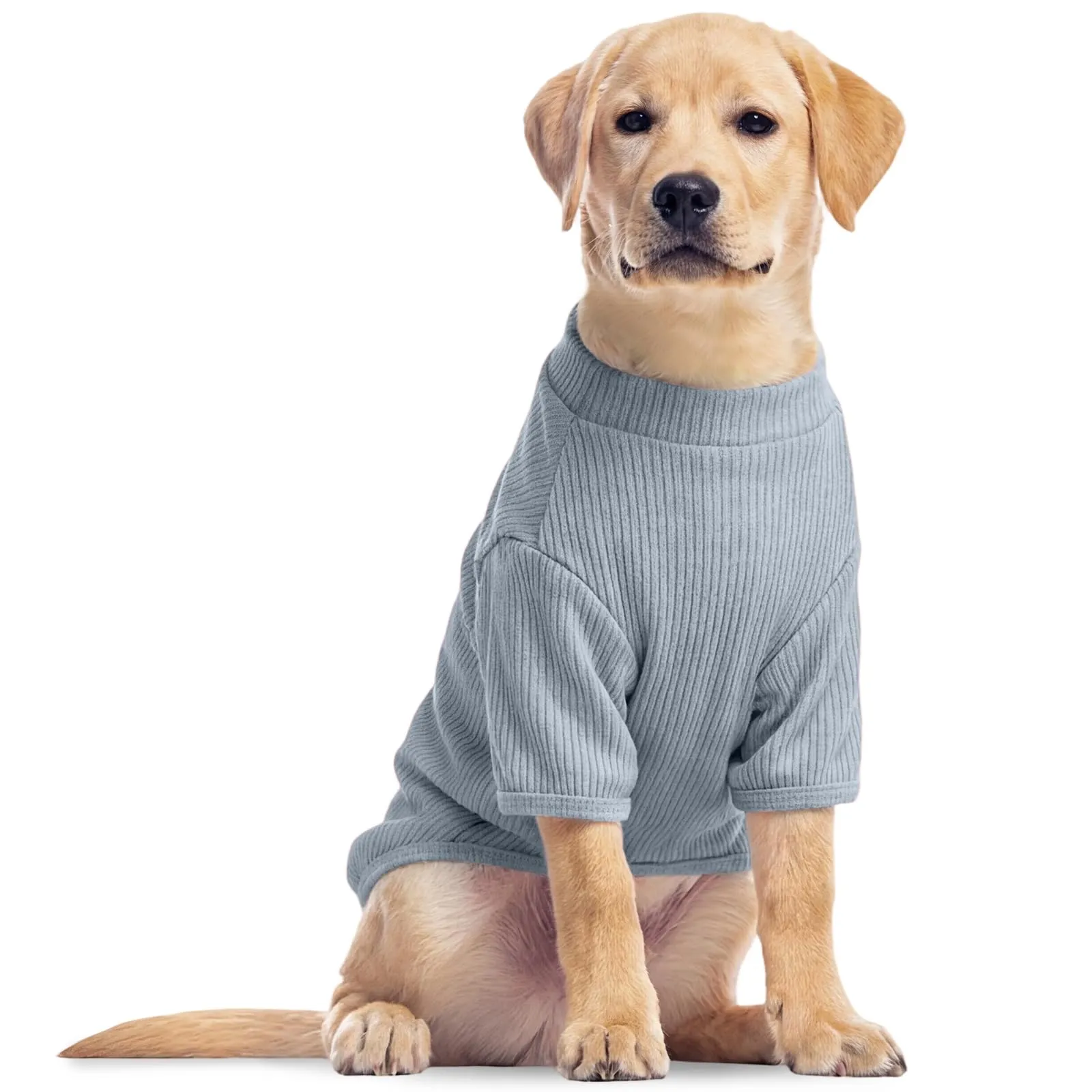 Hjumarayan Maglioncino in Tessuto Elasticizzato Traspirante per Cani, Blu Skyline, XL - immagine 1