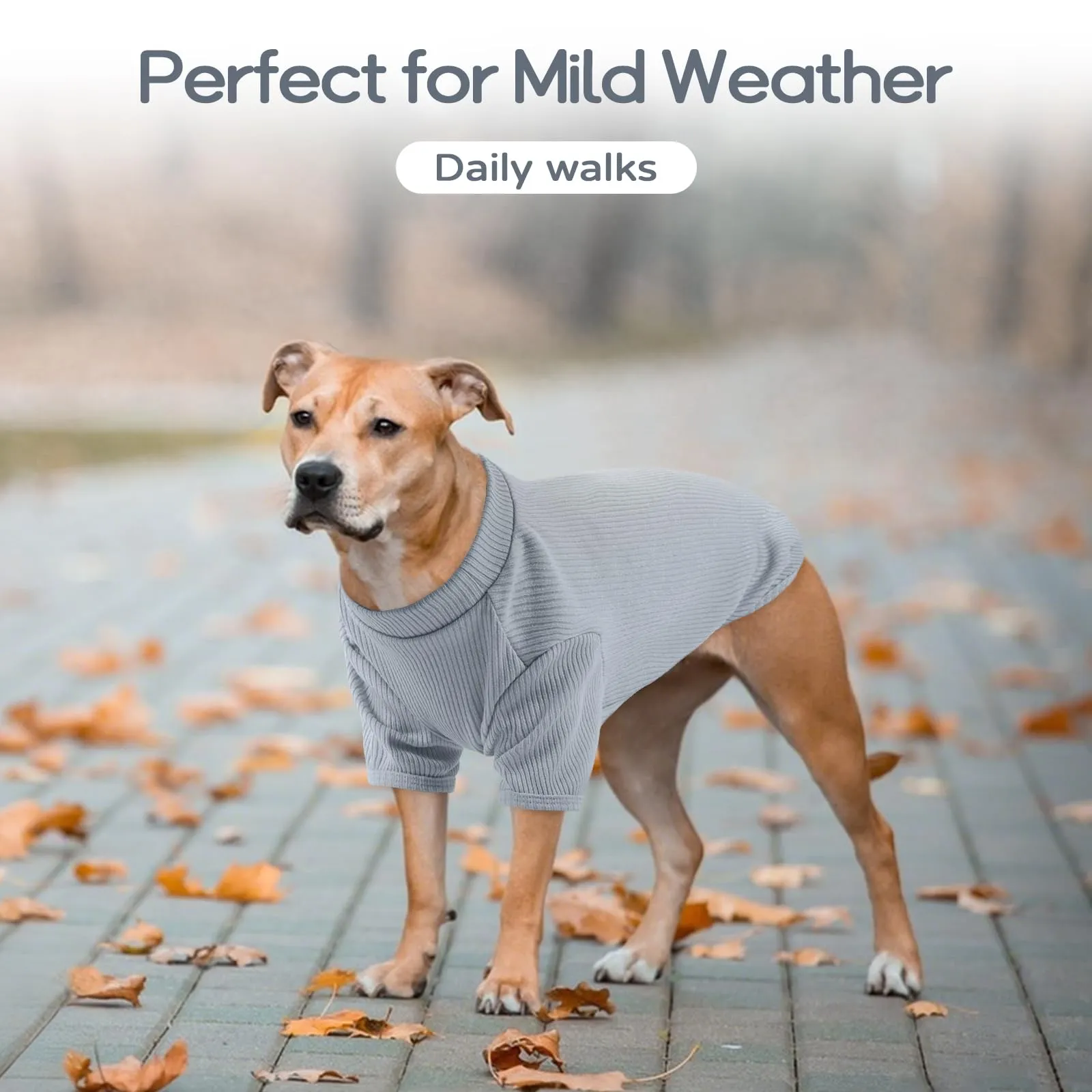Hjumarayan Maglioncino in Tessuto Elasticizzato Traspirante per Cani, Blu Skyline, XL - immagine 5
