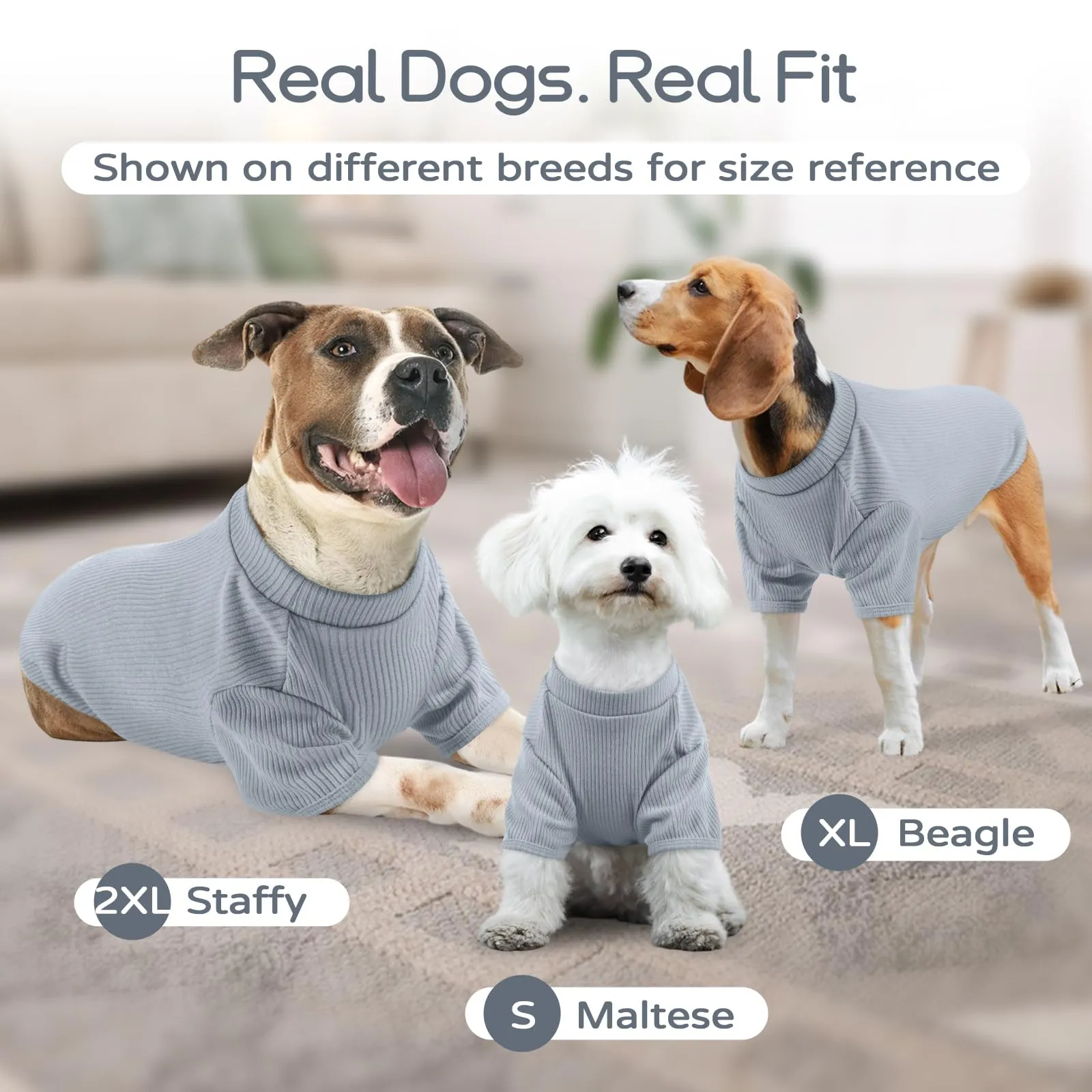 Hjumarayan Maglioncino in Tessuto Elasticizzato Traspirante per Cani, Blu Skyline, XL - immagine 7