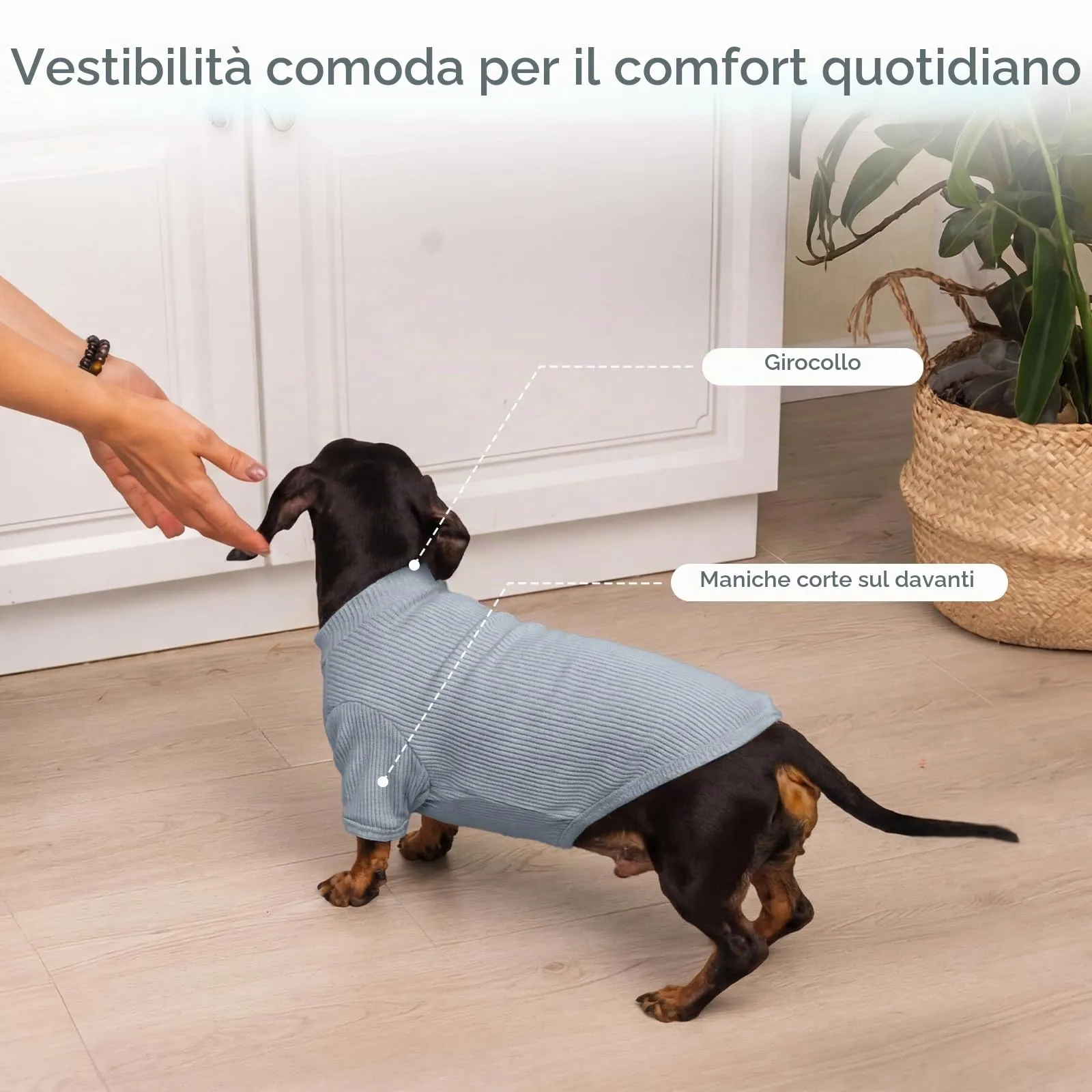 Hjumarayan Maglietta in Tessuto a Costine per Cani, Blu Skyline S - immagine 4