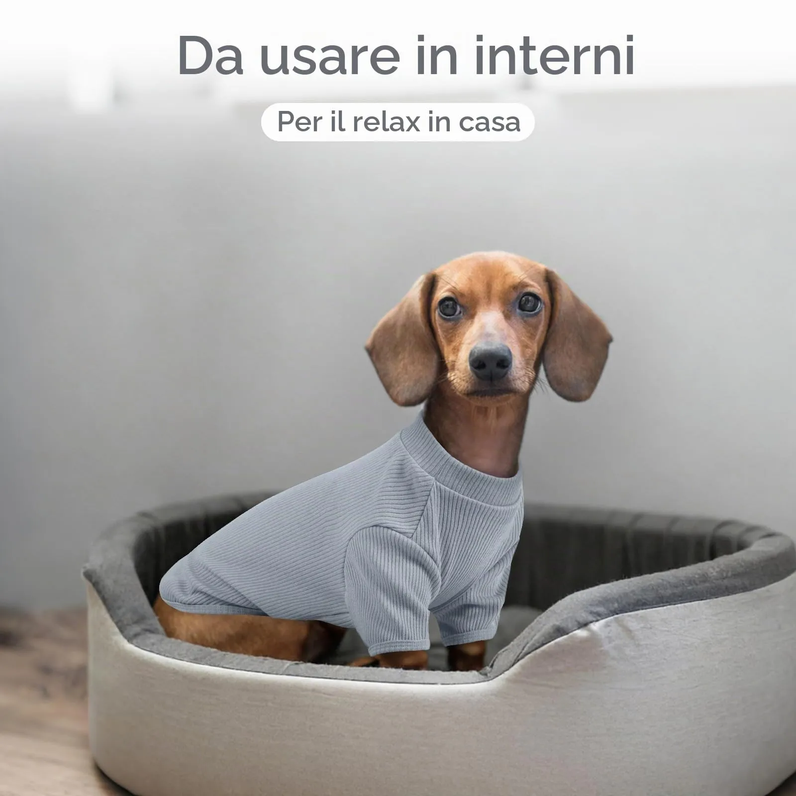 Hjumarayan Maglietta in Tessuto a Costine per Cani, Blu Skyline S - immagine 6