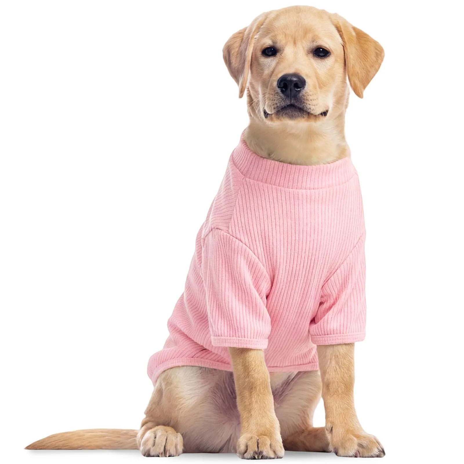 Hjumarayan T-Shirt in Maglia per Cani, Maglione Leggero Elasticizzato a Costine, Rosa Fiorita, XXL - immagine 1