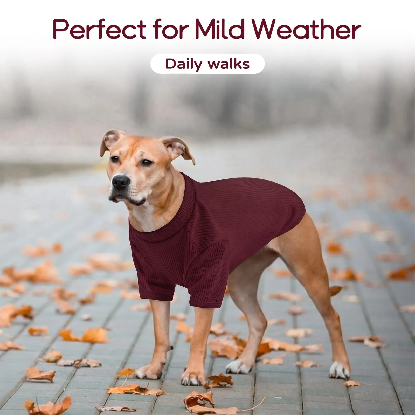 Hjumarayan Pullover Leggero in Maglia a Costine per Cani, Bordeaux L - immagine 5