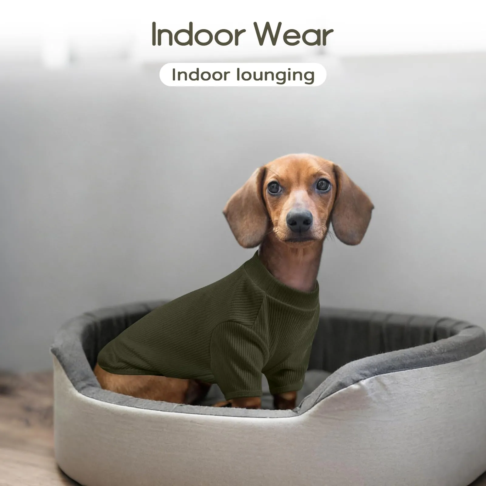 Hjumarayan T-Shirt in Maglia Elasticizzata a Costine per Cani, Verde Muschio, XS - immagine 6