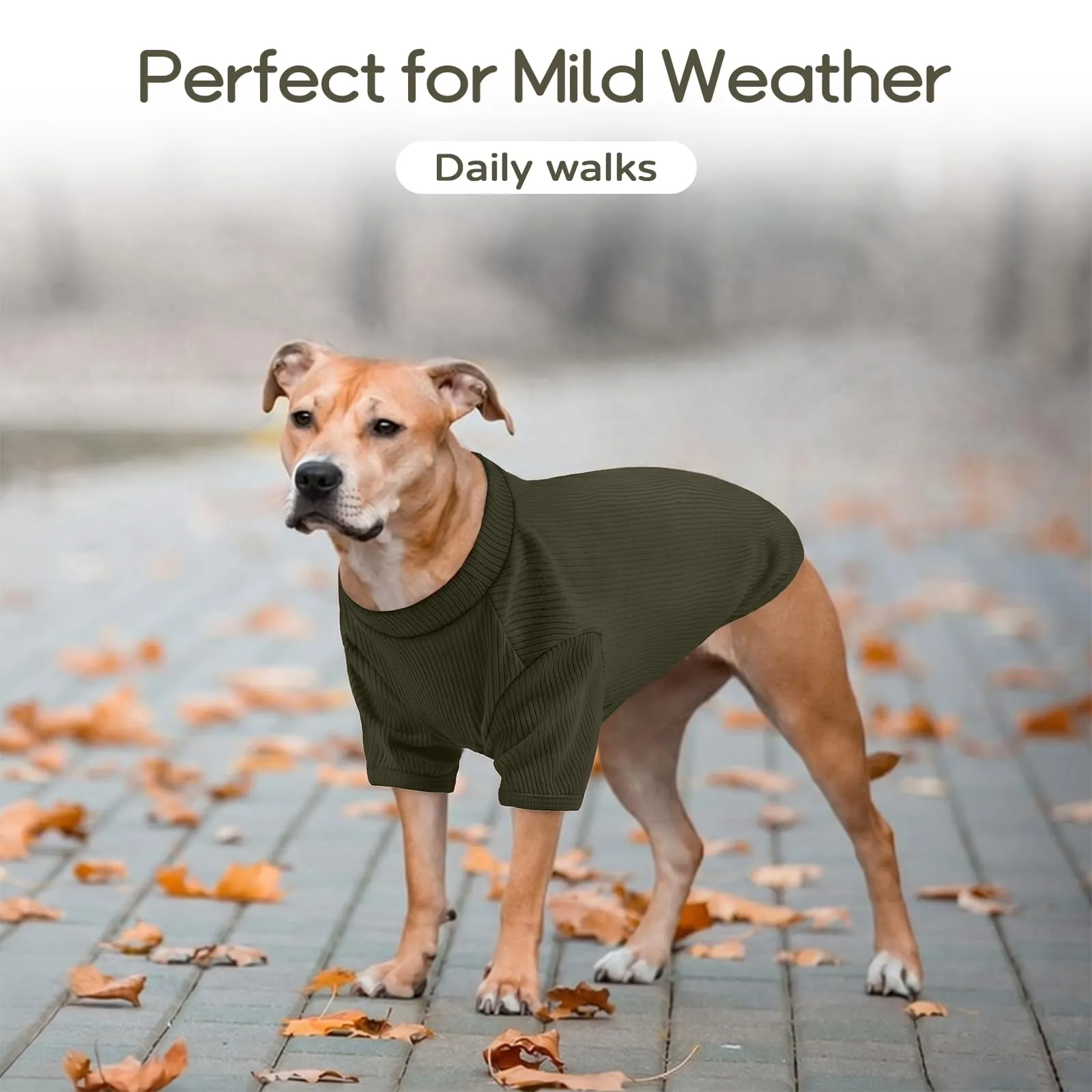 Hjumarayan Maglione Estivo Per Cani in Maglia Traspirante, Verde Muschio, M - immagine 5