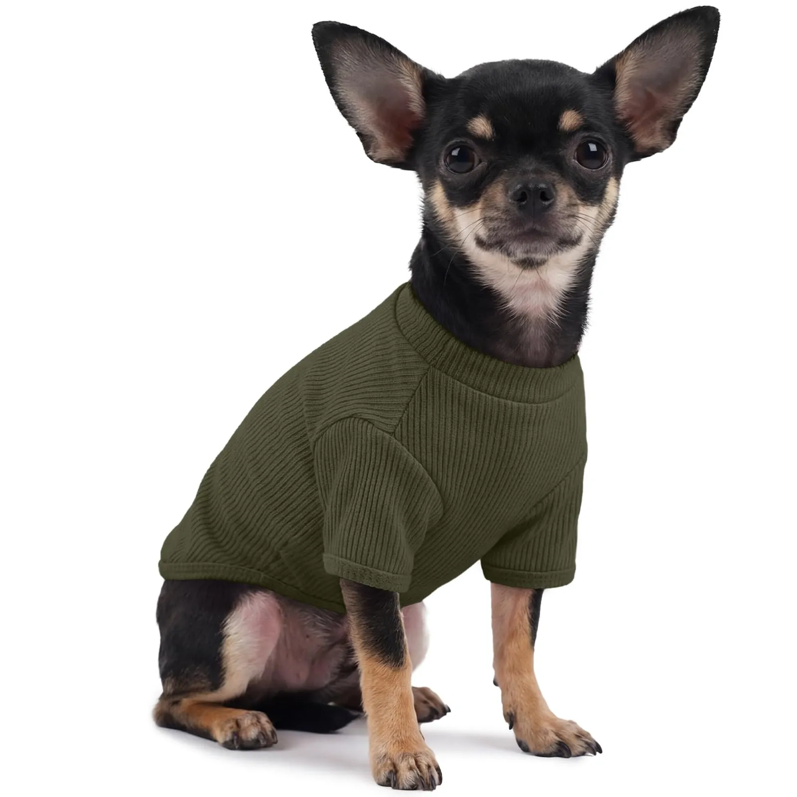 Hjumarayan Maglietta in Tessuto a Costine per Cani, Verde Muschio, S - immagine 1