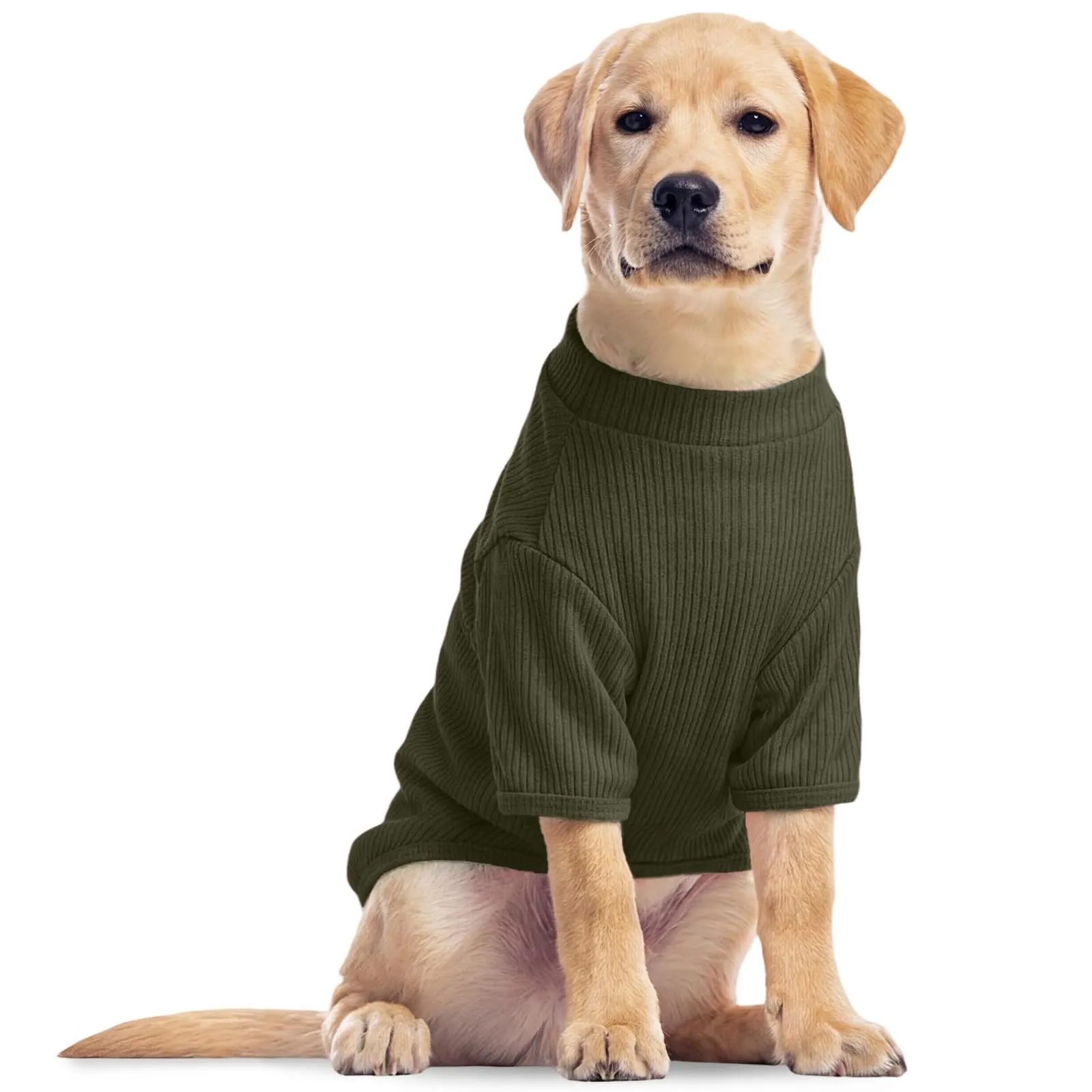 Hjumarayan Maglioncino in Tessuto Elasticizzato Traspirante per Cani, Verde Muschio, XL - immagine 1