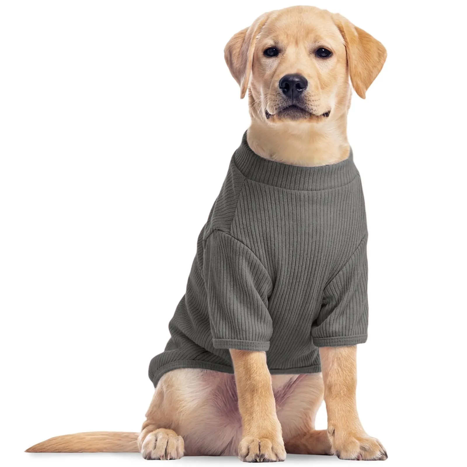 Hjumarayan Maglietta Elastica per Cani, Grigio Granito, XXL - immagine 1