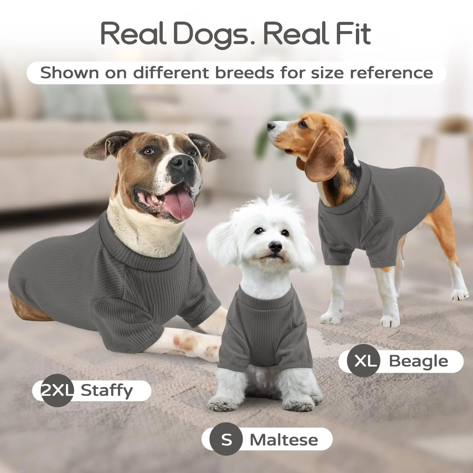 Hjumarayan Maglietta Leggera a Costine per Cani, Grigio Granito, XS - immagine 8