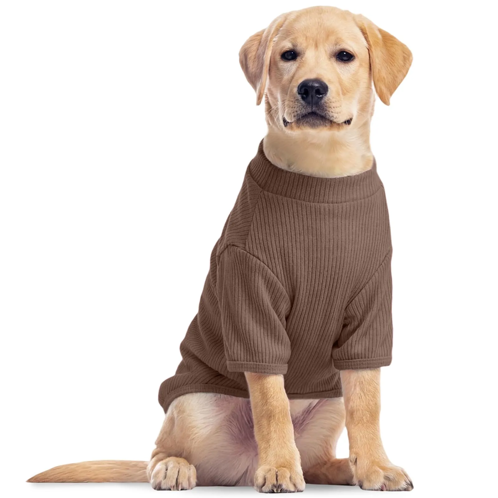 Hjumarayan Maglietta sottile elastica per cani, Tinta unita, Marrone cedro, 3XL - immagine 1
