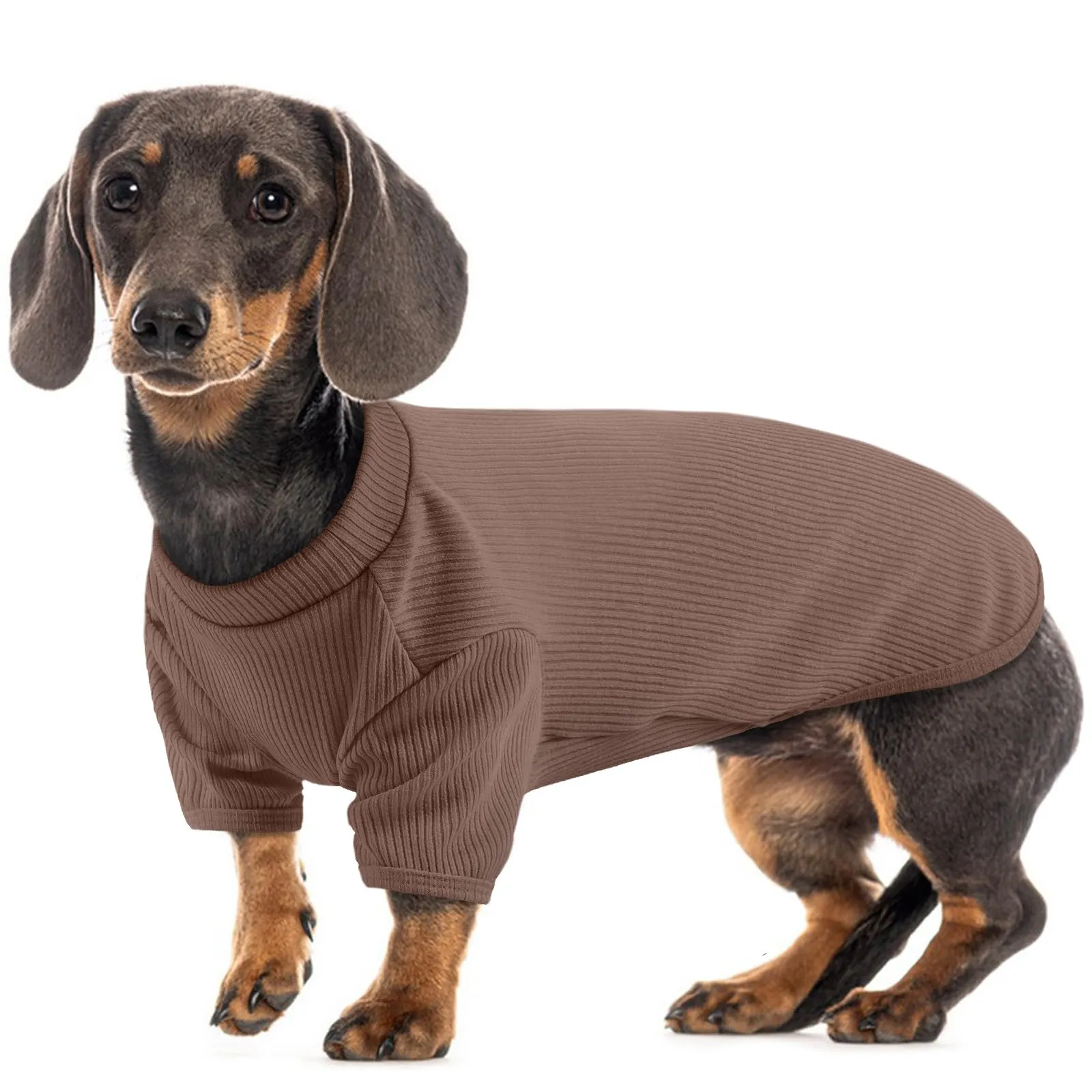 Hjumarayan Maglione Sottile per Cani, Taglia M, Marrone Cedro - immagine 1