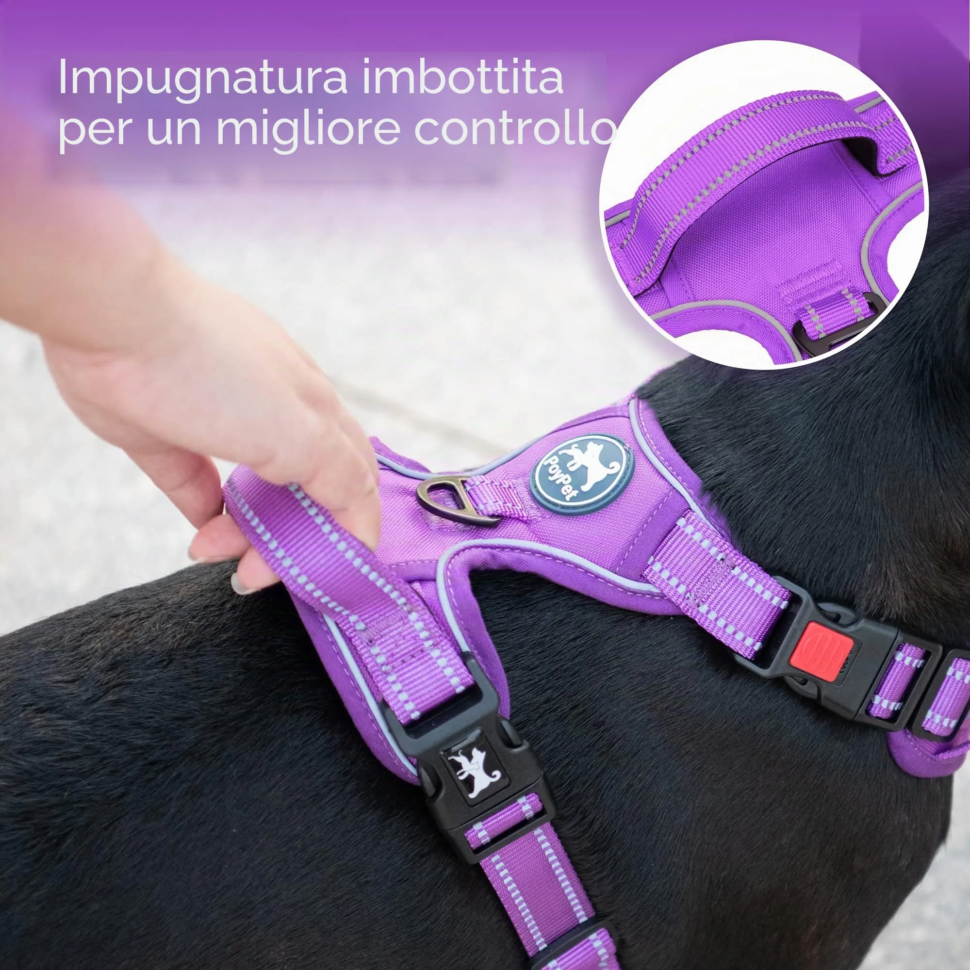 PoyPet Pettorina Antitrazione per Cani con Clip Anteriore, Riflettente, Regolabile e Imbottita per Cani di Piccola Taglia, Taglia S - immagine 5