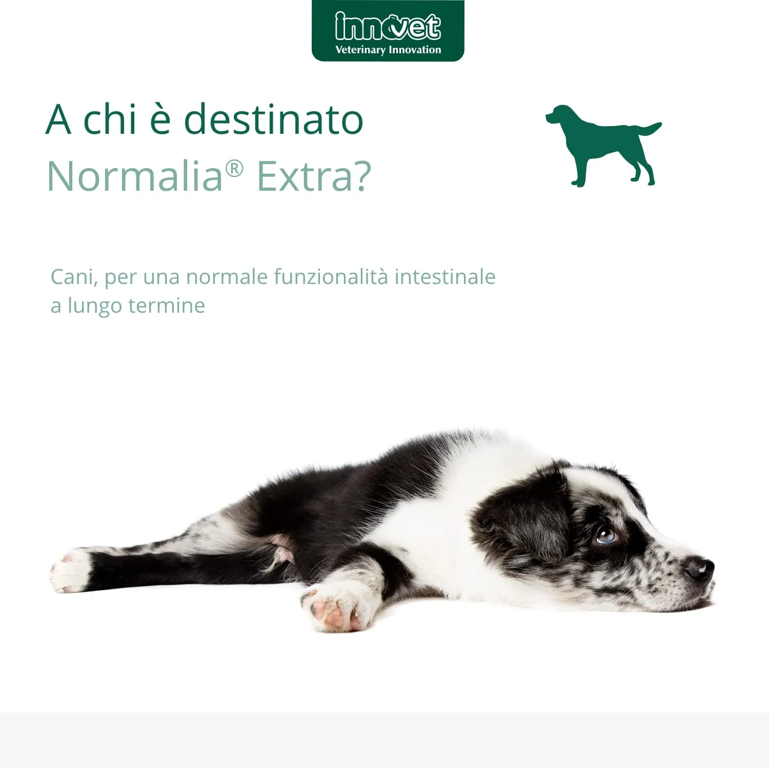 Innovet Normalia Extra per cani, 60 stick - immagine 4