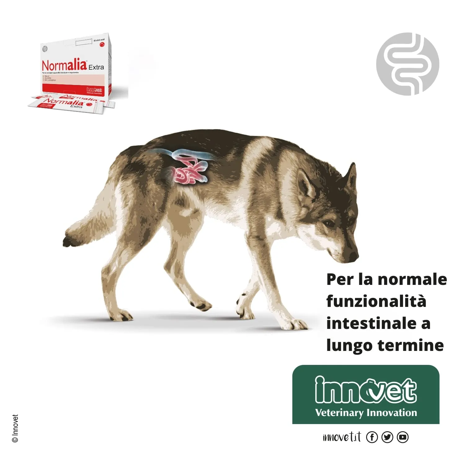 Innovet Normalia Extra per cani, 60 stick - immagine 6