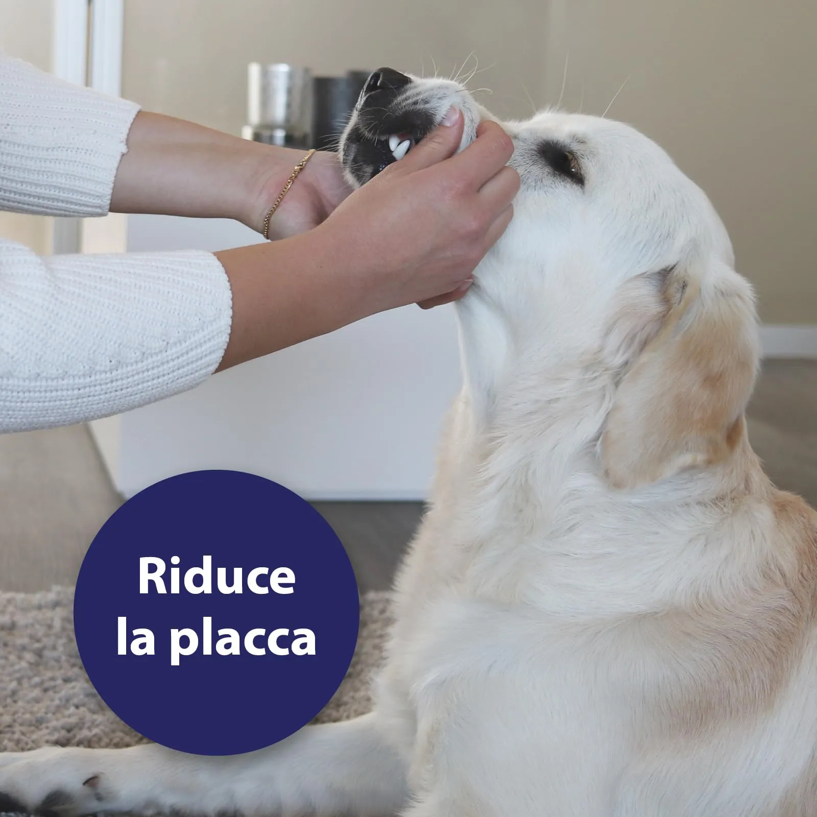 Canosept Dischetti Pulizia Denti Per Cani, 50 Pezzi - immagine 5