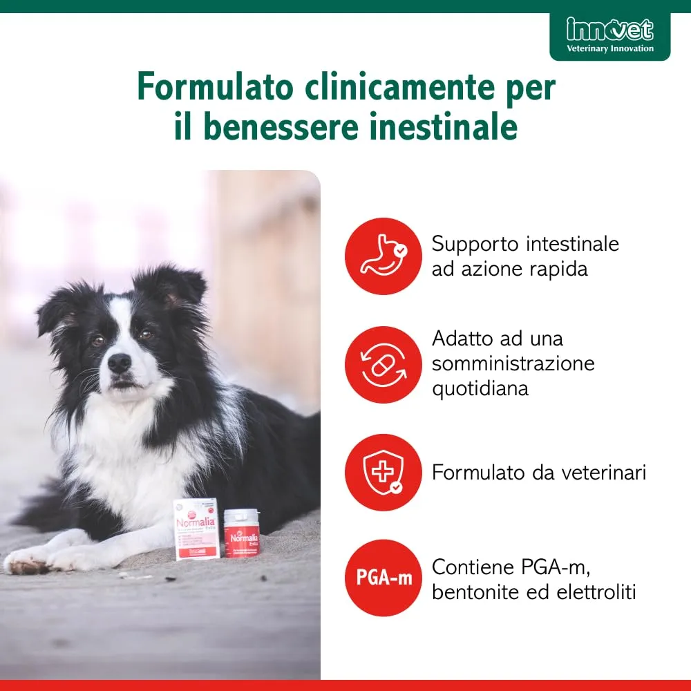Innovet Normalia Fast Supporto Intestinale per Cani e Gatti, 10 capsule - immagine 3