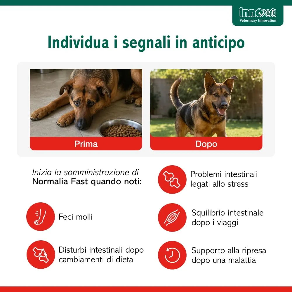 Innovet Normalia Fast Supporto Intestinale per Cani e Gatti, 10 capsule - immagine 5