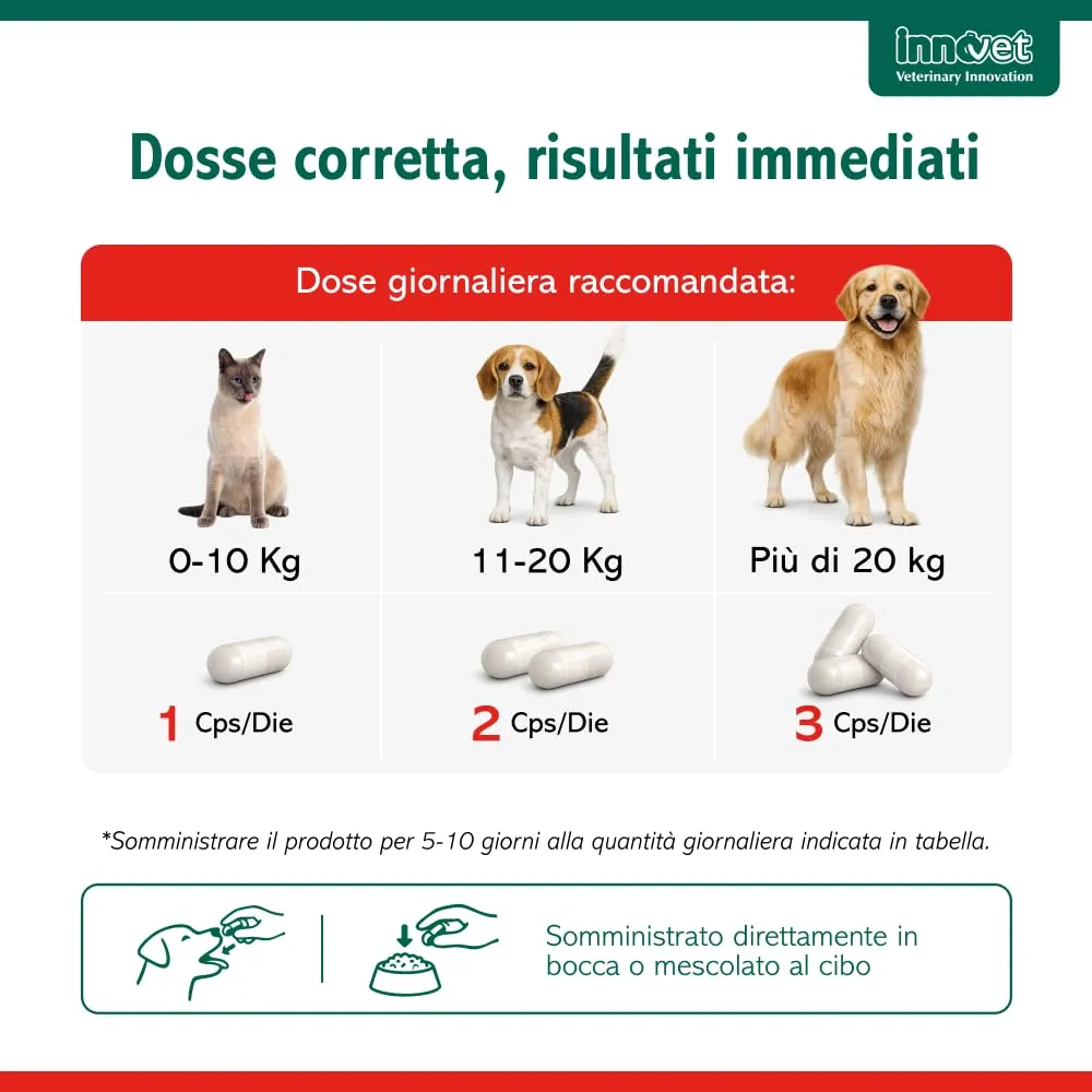 Innovet Normalia Fast Supporto Intestinale per Cani e Gatti, 10 capsule - immagine 6