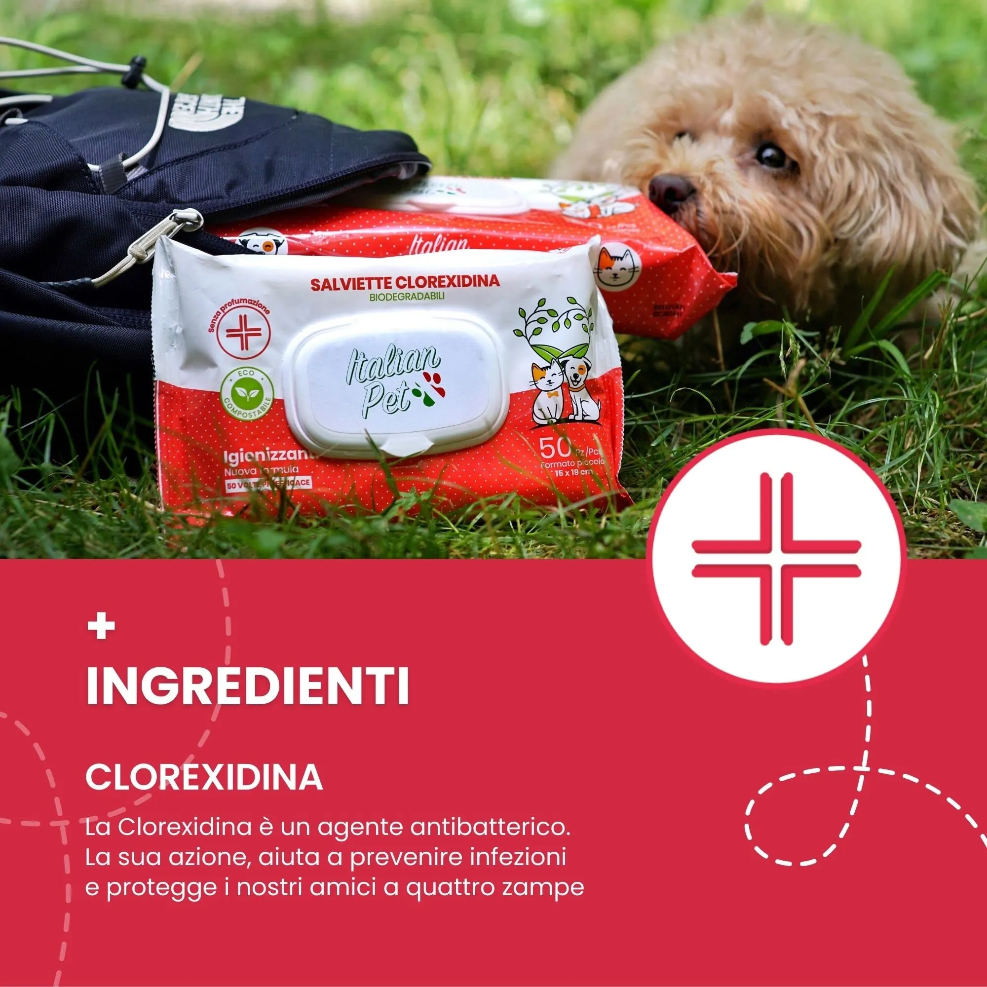 Italian Pet Salviette Biodegradabili alla Clorexidina per Cani e Gatti, 50 pz 20x30 cm - immagine 4