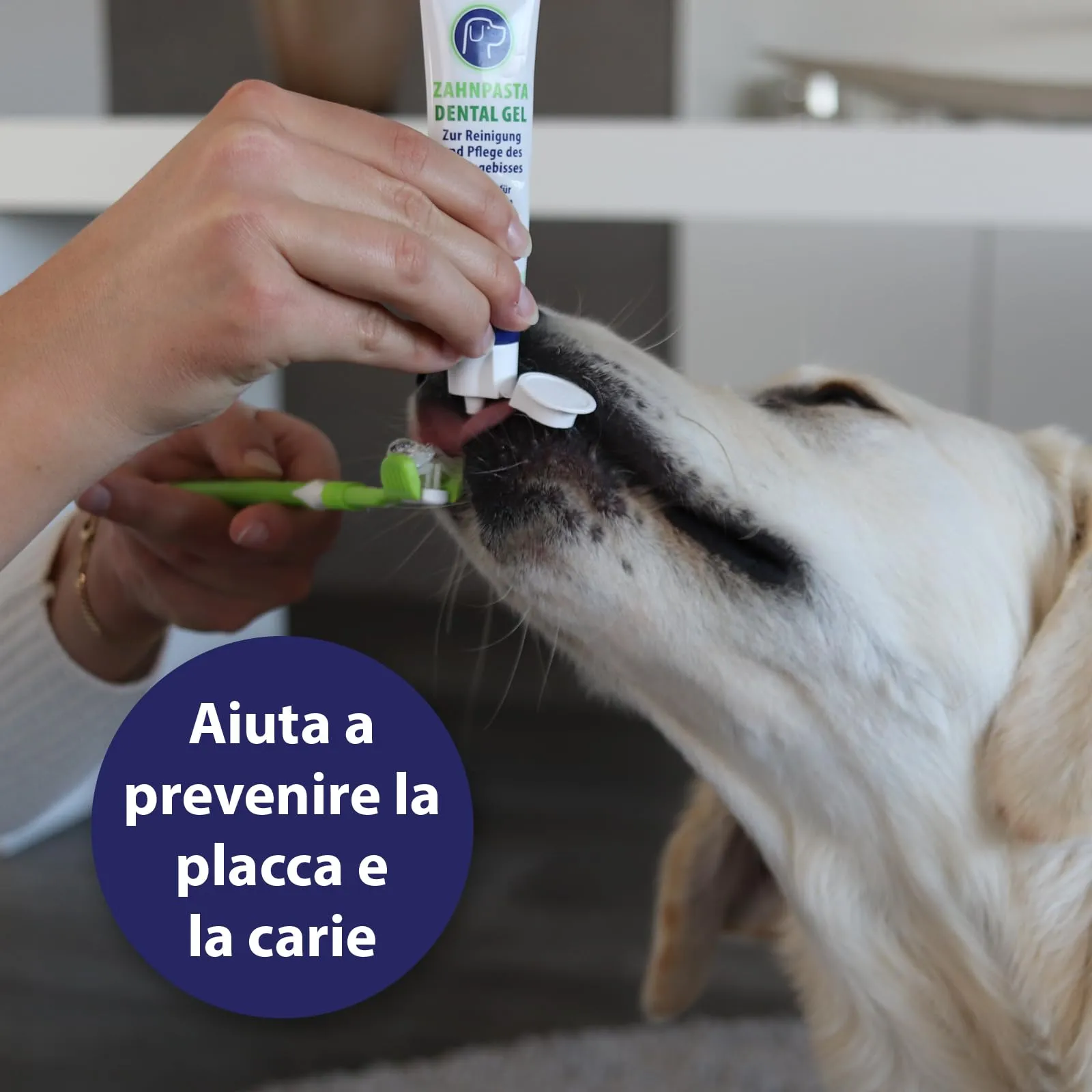 Canosept Dentifricio per Cani, 100g - immagine 3