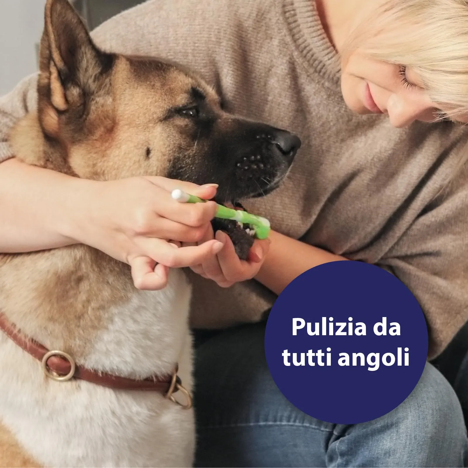 Canosept Spazzolino per Cani con 3 Teste - immagine 3