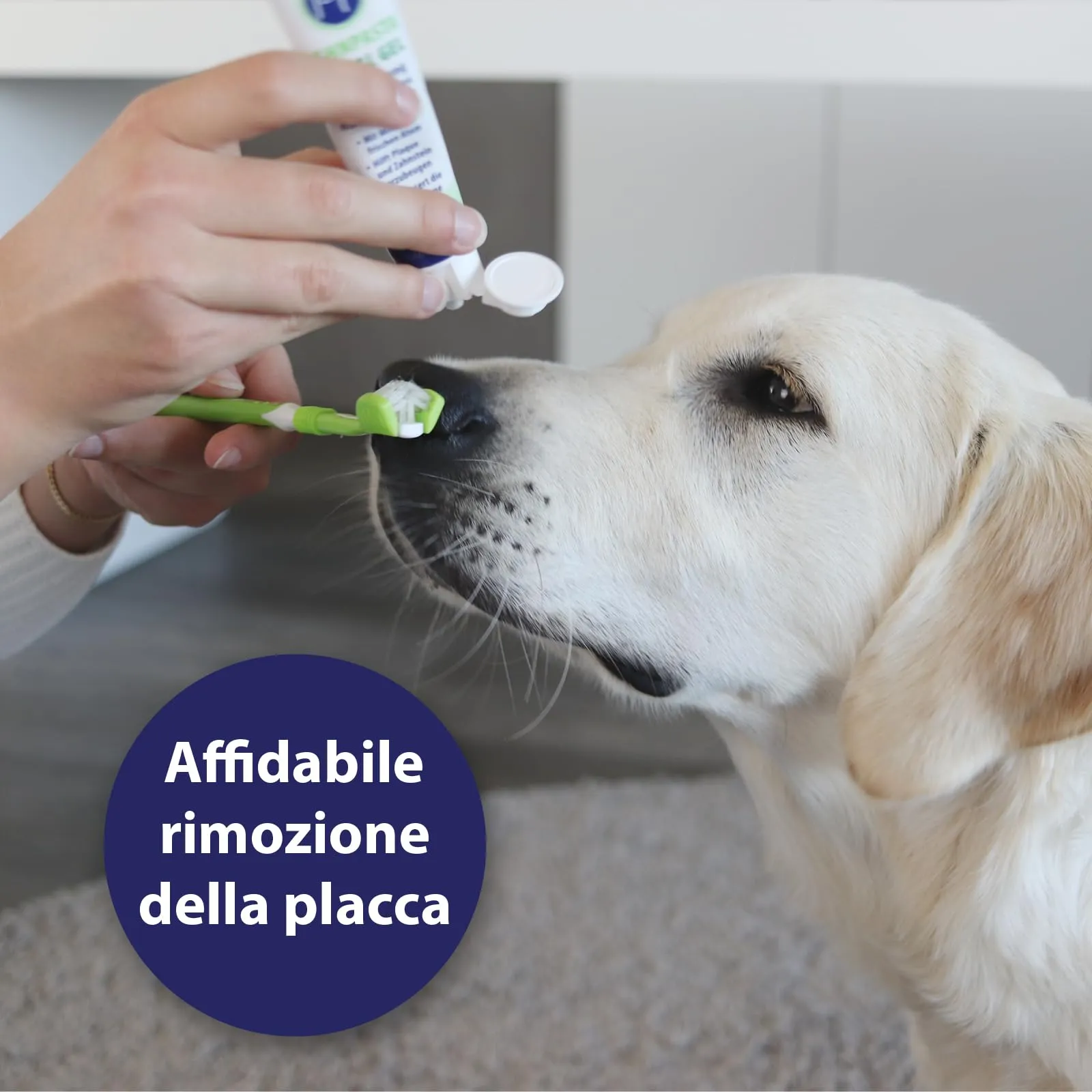 Canosept Spazzolino per Cani con 3 Teste - immagine 5