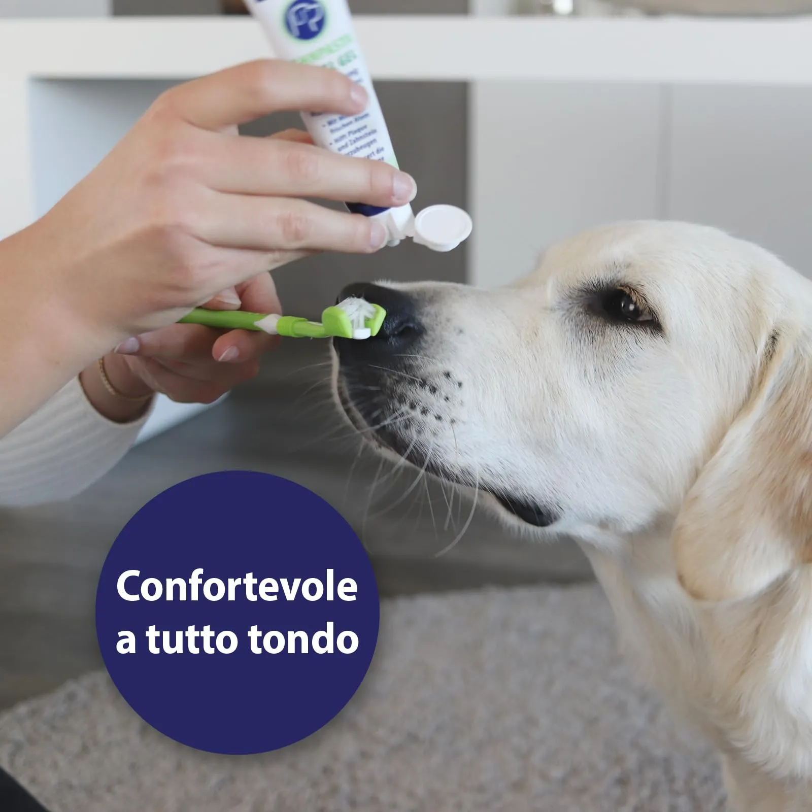 Canosept Set pulizia denti cane (3 pezzi) - Spazzolino, Dentifricio e Spazzolino da dito - immagine 3