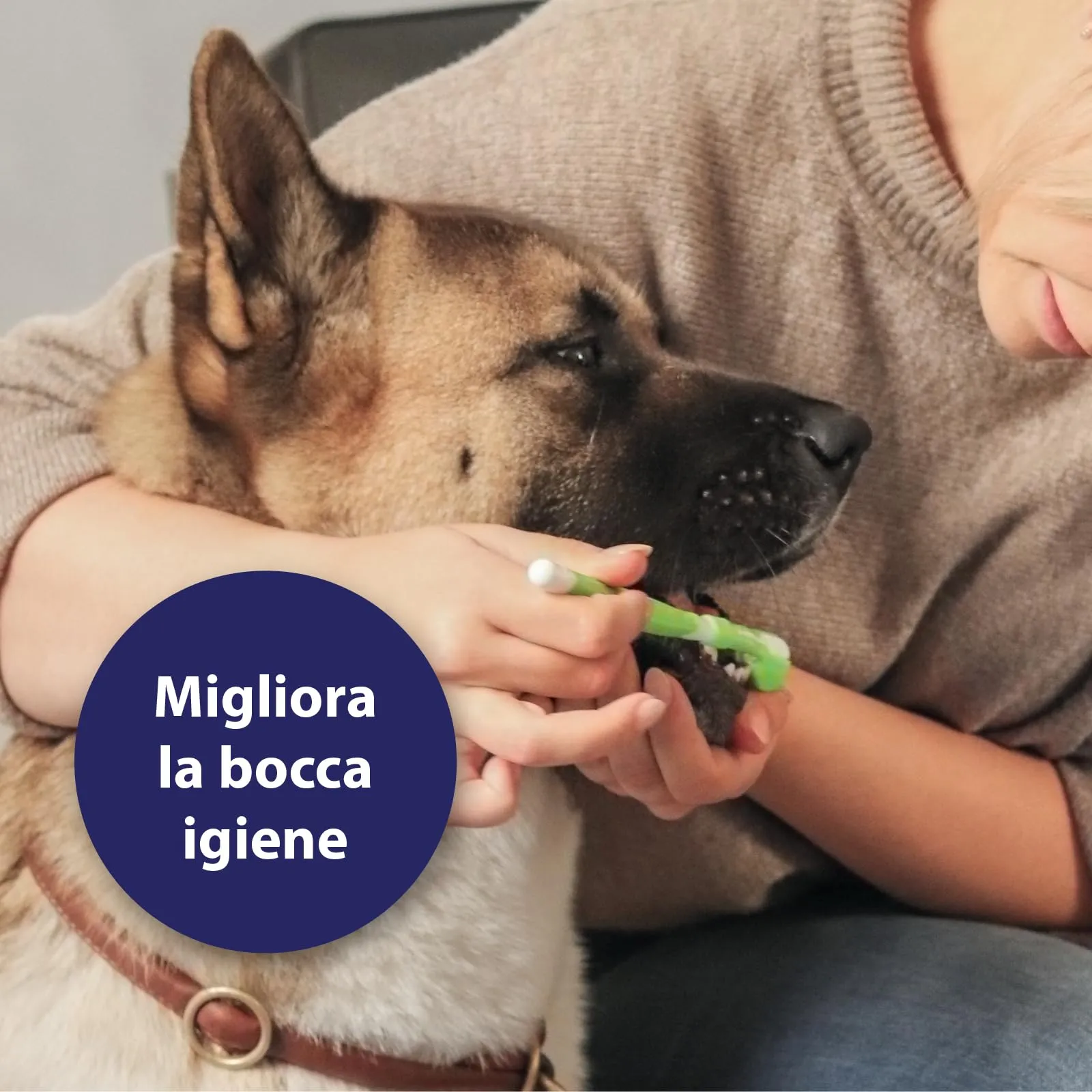Canosept Set pulizia denti cane (3 pezzi) - Spazzolino, Dentifricio e Spazzolino da dito - immagine 4